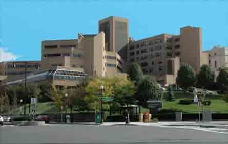 Large beige hospital or office complex with trees and a street in the foreground under a clear blue sky