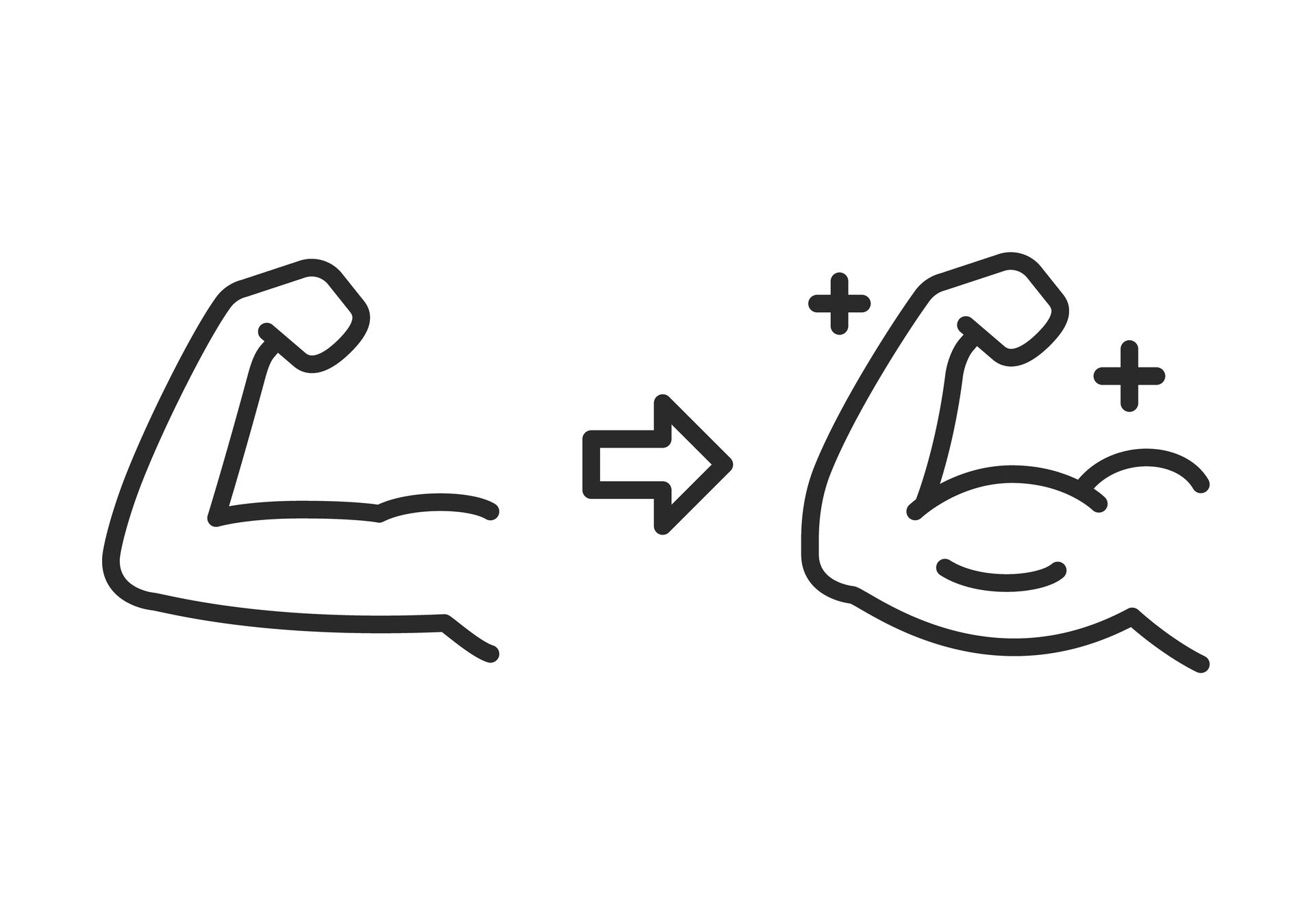 A line drawing of a muscle with an arrow pointing to it.