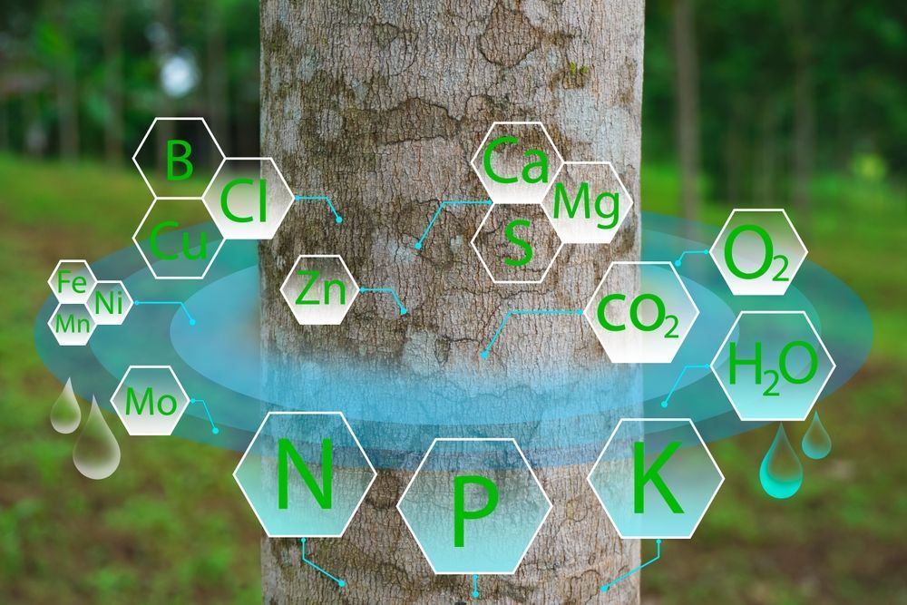 A close up of a tree trunk with chemical compounds around it.