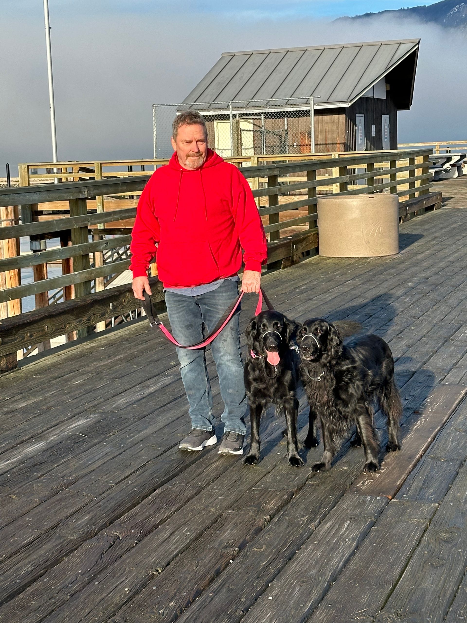 Highpoint FlatCoated Retrievers, registered home-based kennel in Salmon Arm BC.