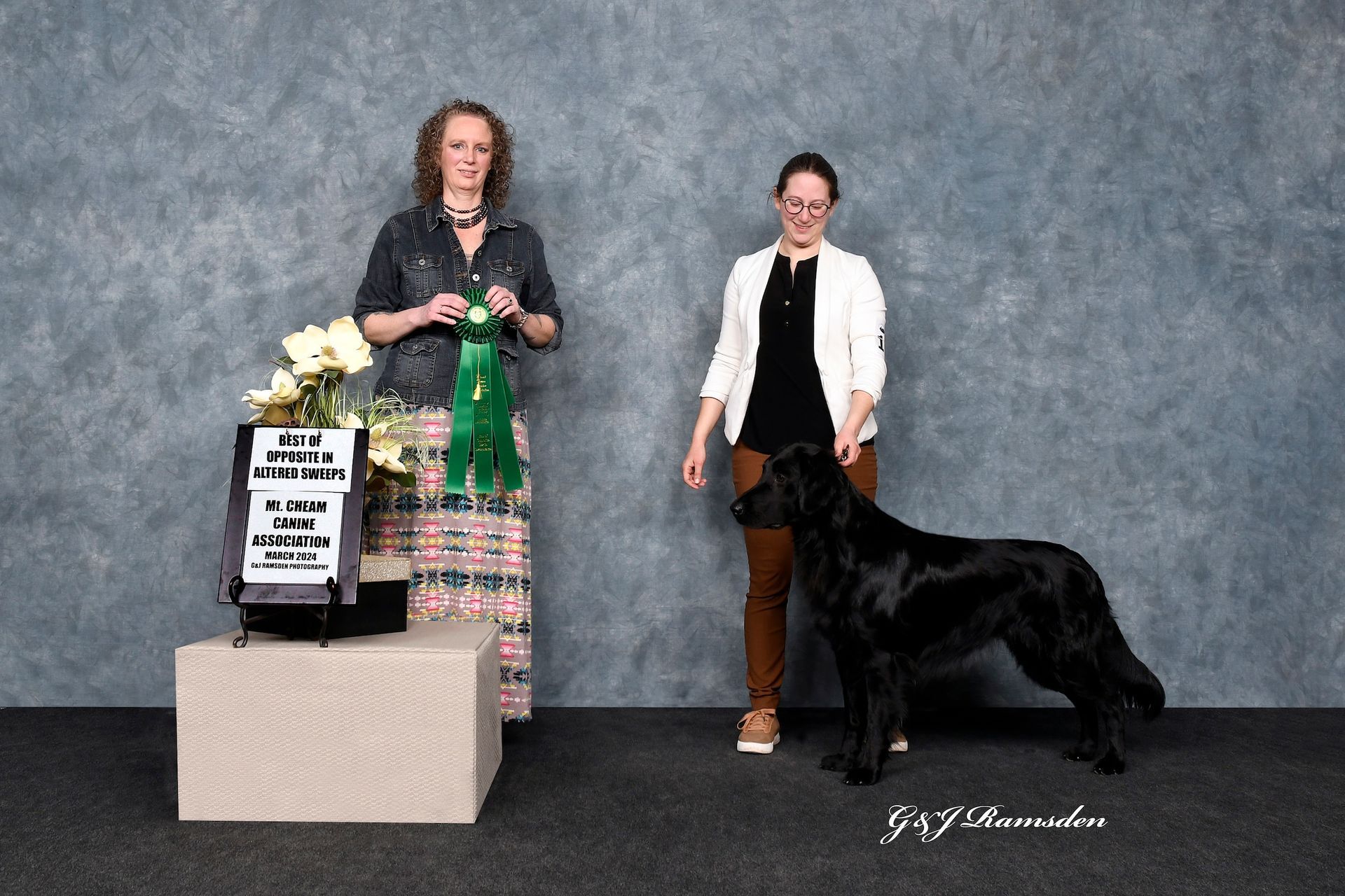 Kepler Rally Novice Highpoint FlatCoated Retriever