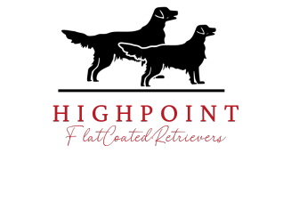 HighPoint Flatcoated Retrievers logo