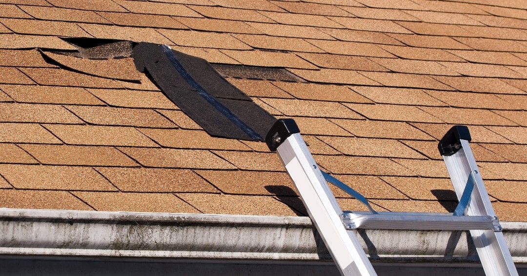 Roof shingles being repaired with a ladder and roofing tools visible.
