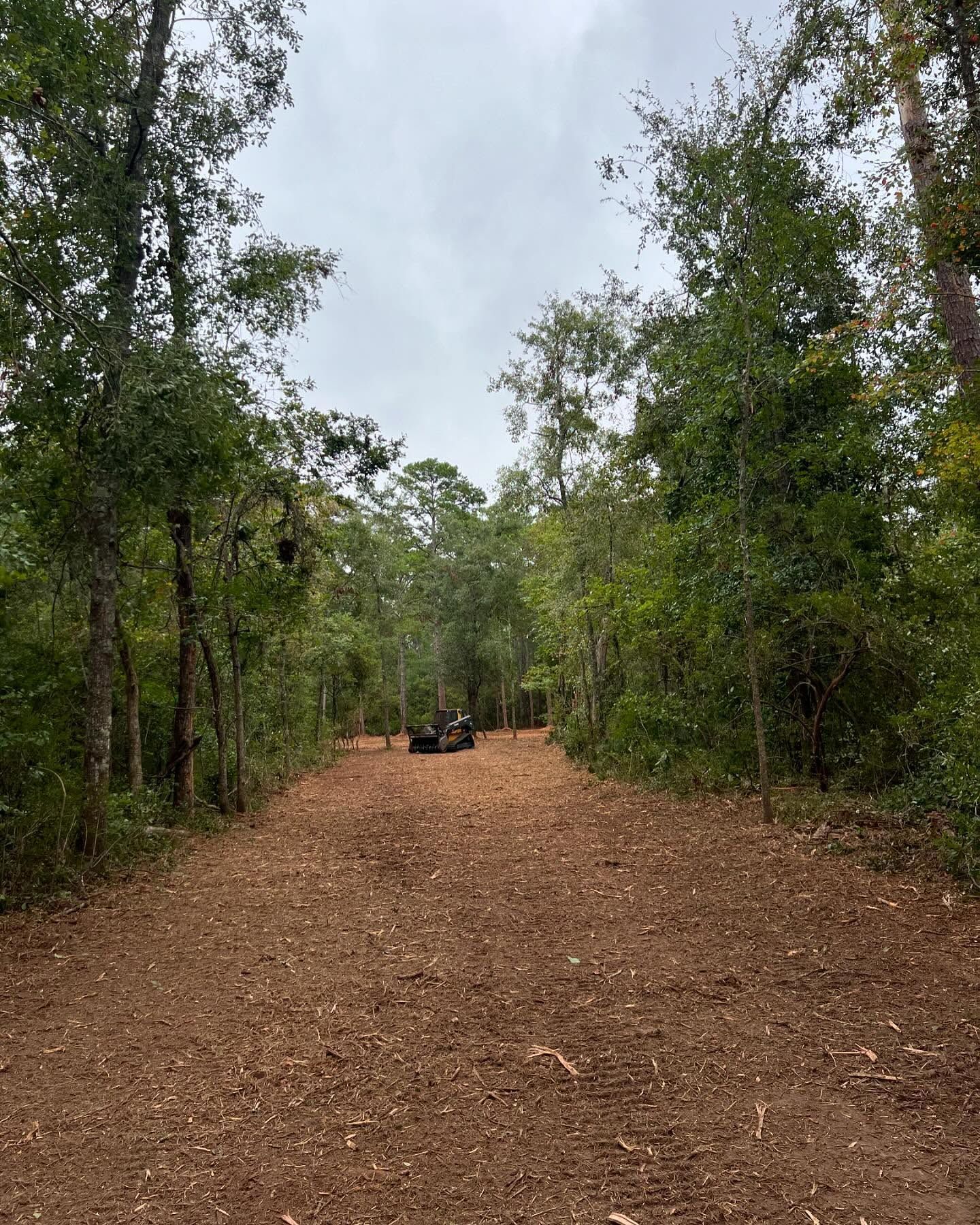 Dirt road through dense green forest under an overcast sky, with a small fire or stump in the distance