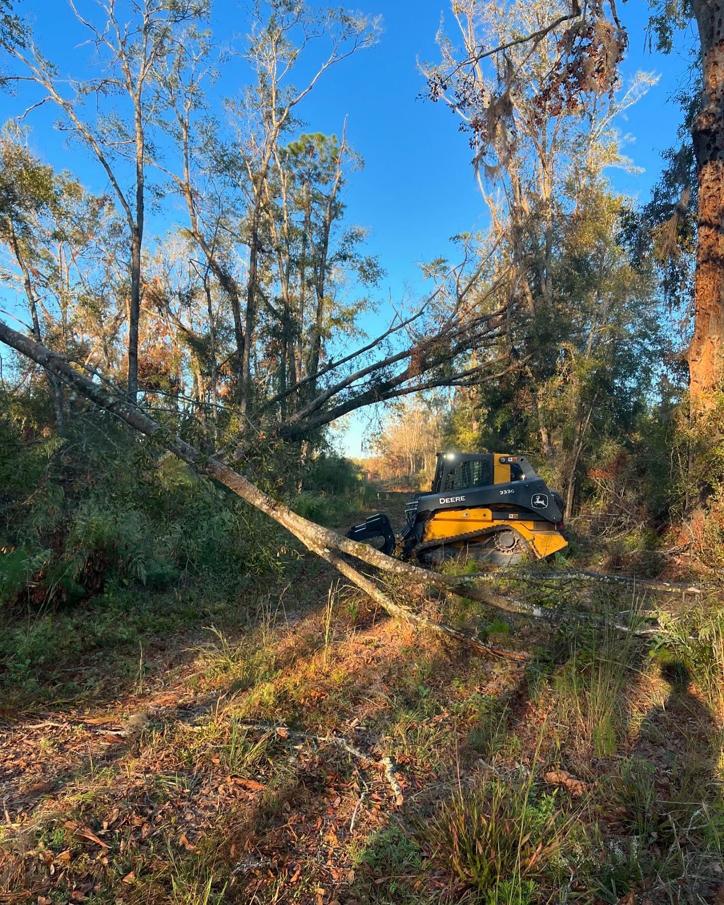 Yellow bulldozer clearing a fallen tree on a wooded trail under a blue sky