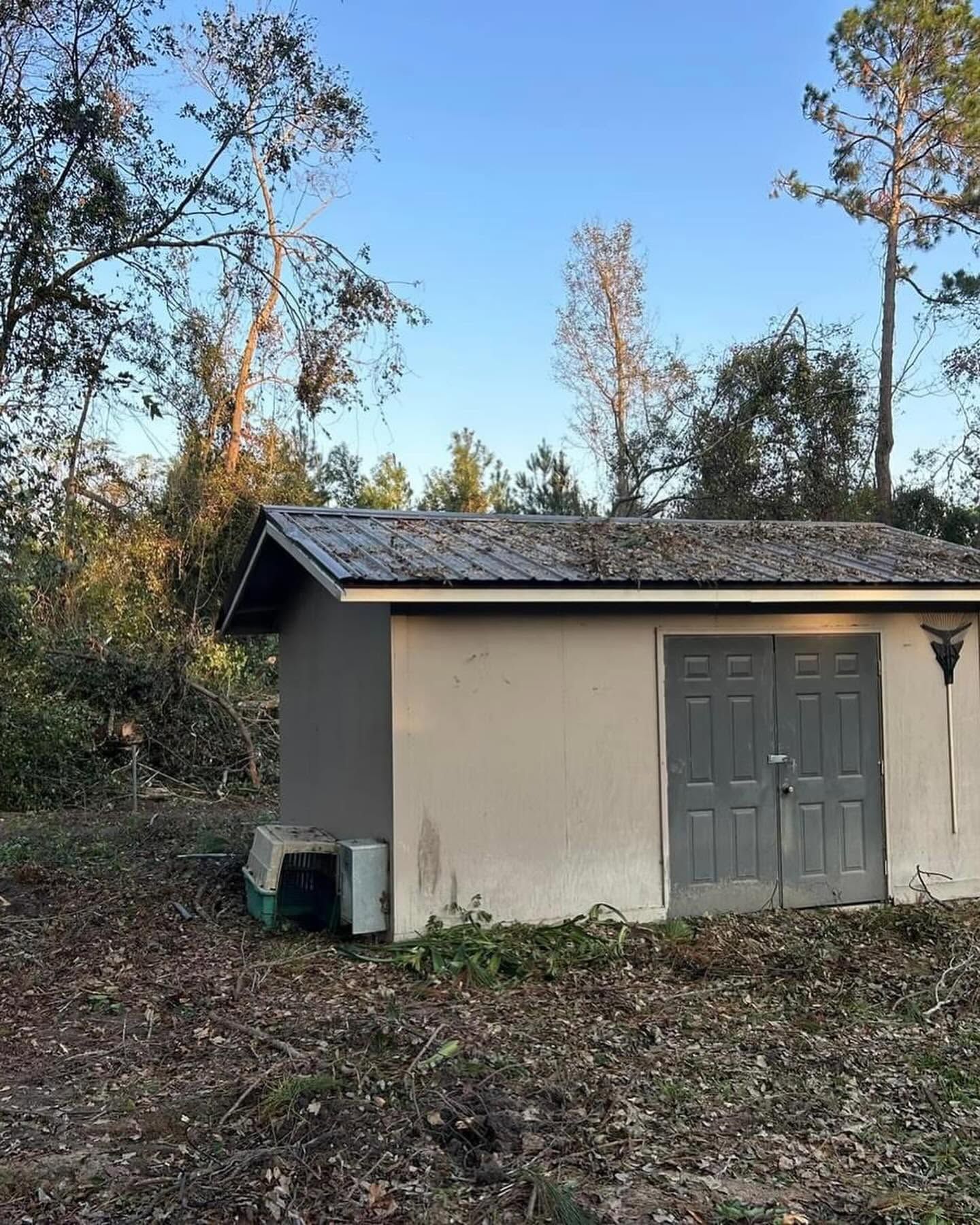 Small beige shed with gray double doors beside trees in a wooded yard.