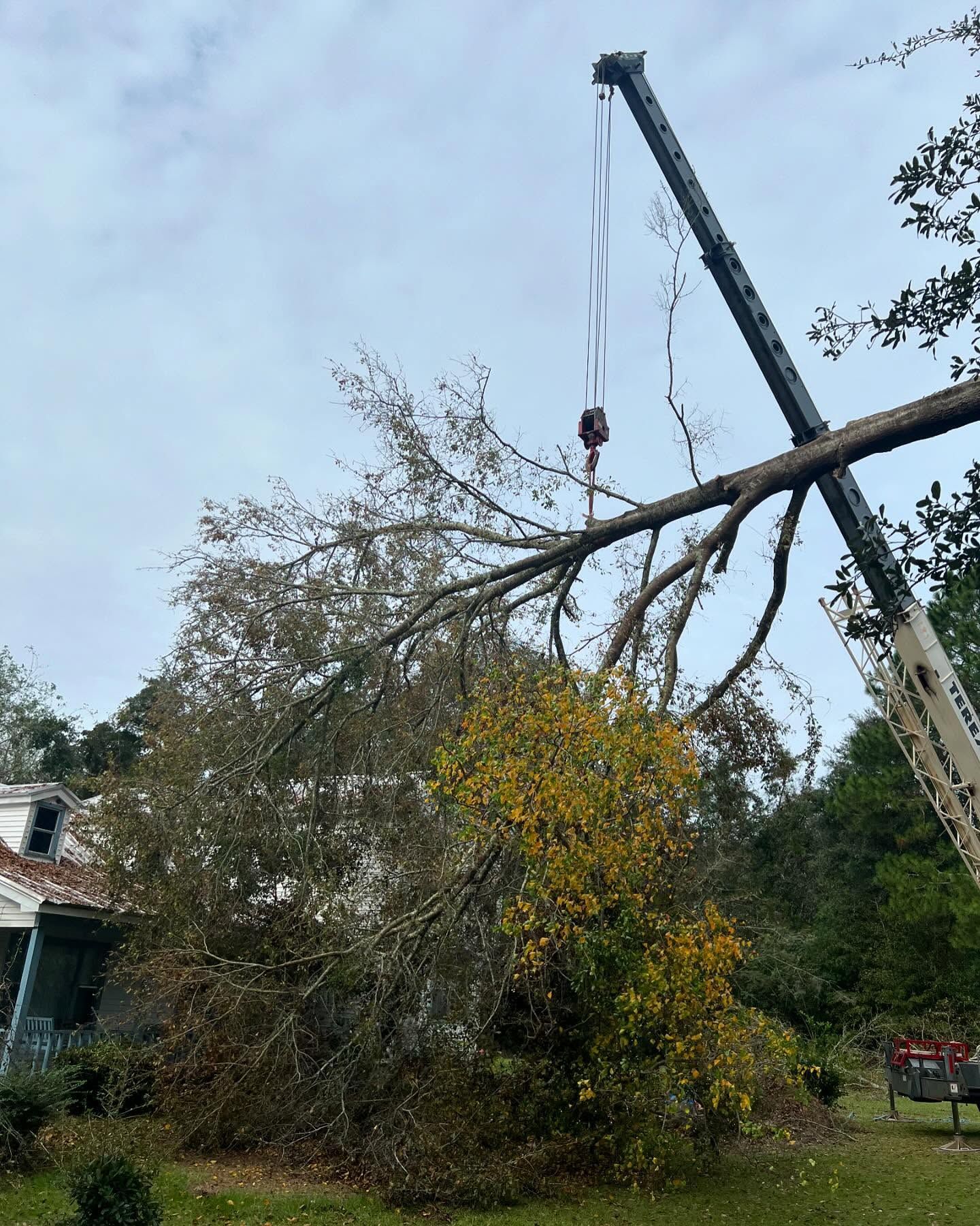 Crane lifting a fallen tree limb over a yard near a house, with branches and leaves still attached