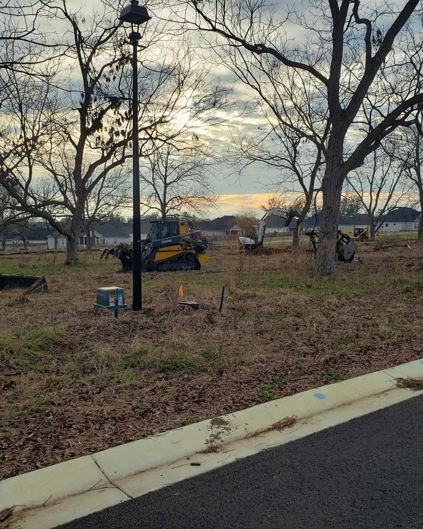 Parked construction equipment in a leafless park at dusk, seen from a roadside curb.
