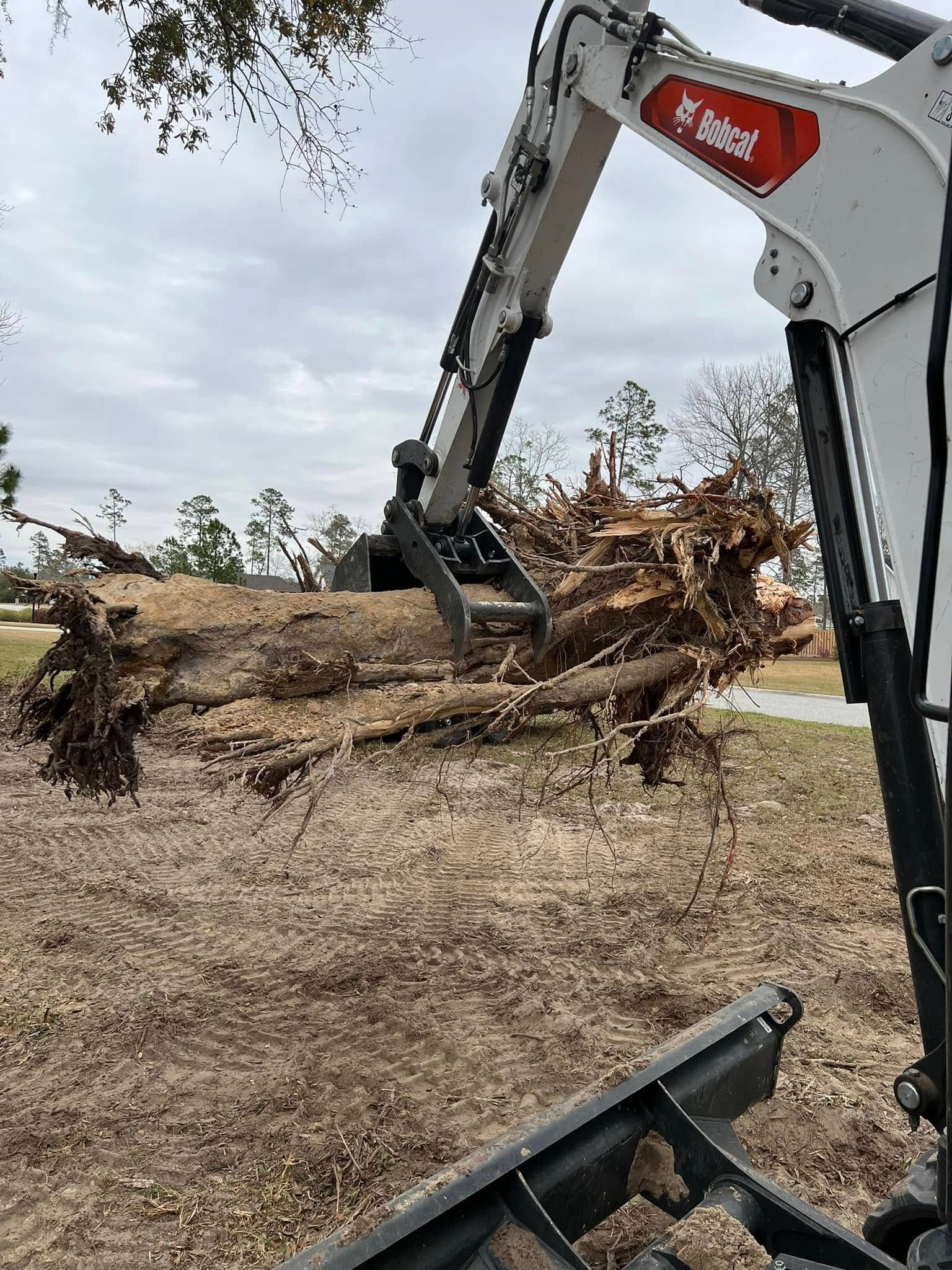 Excavator lifting a fallen tree trunk with its claw in a dry, debris-strewn clearing