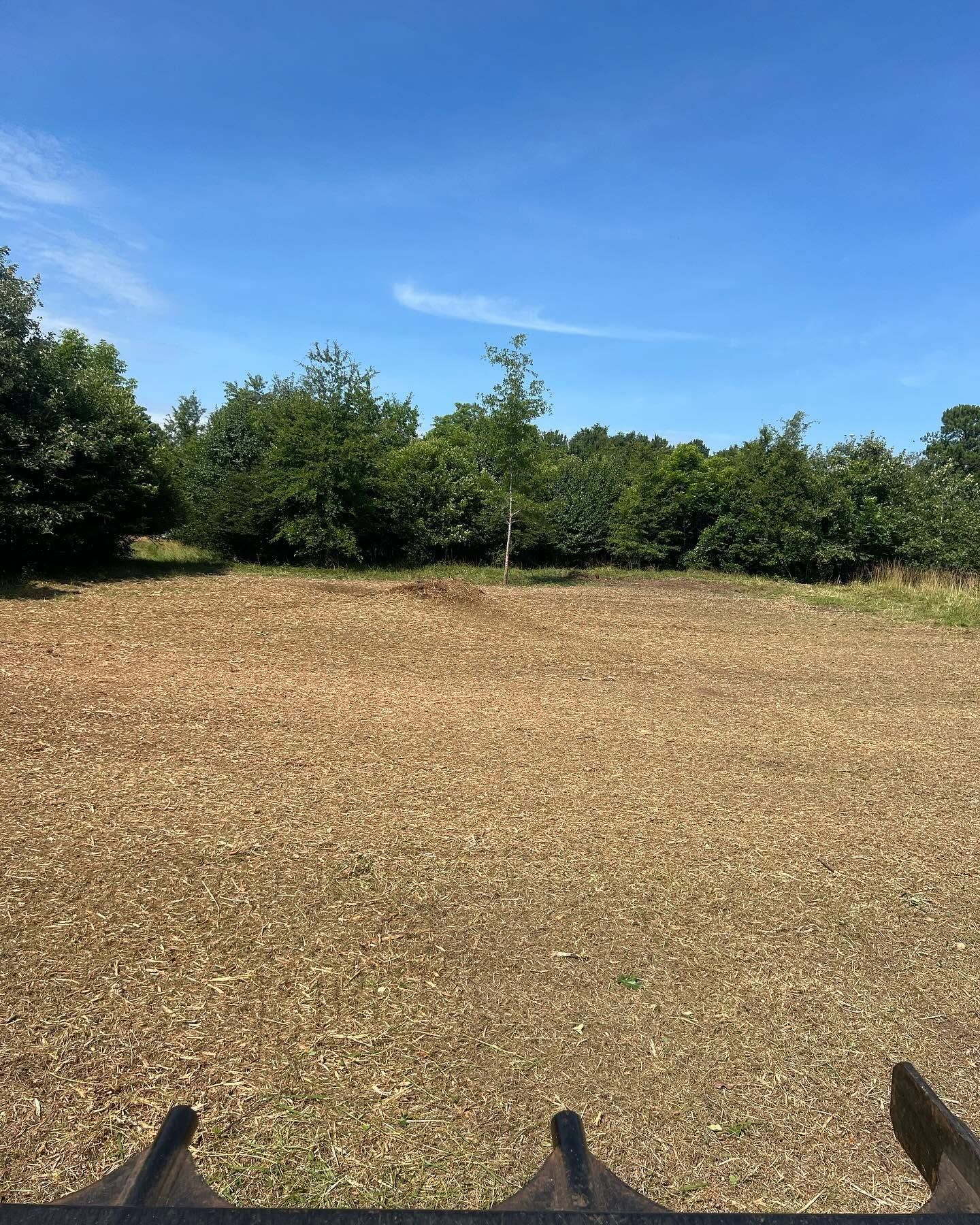 Dry field with low shrubs and trees under a clear blue sky, viewed from a seated or standing vantage point.