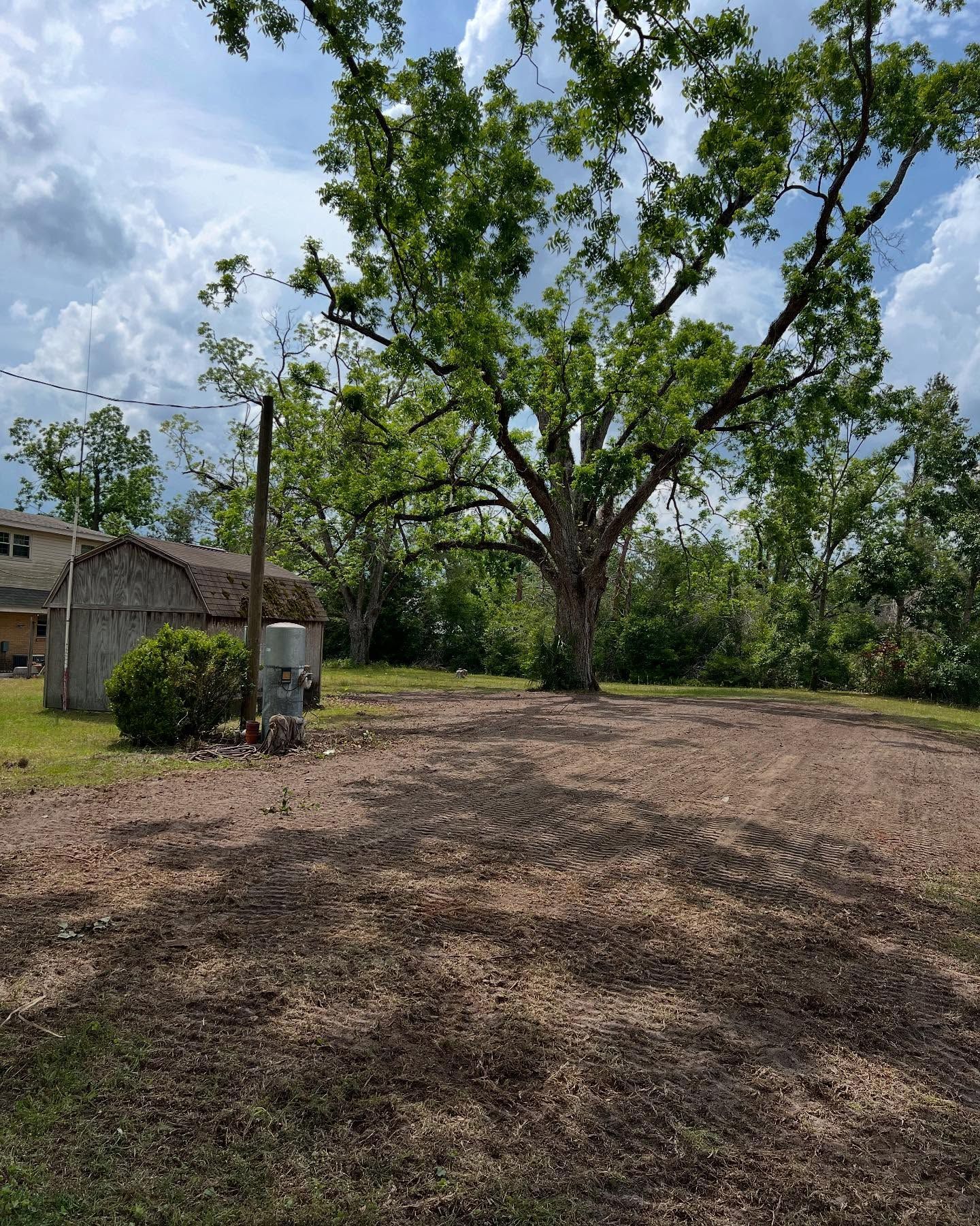 Rural yard with a large leafy tree, dirt ground, small shed, and cloudy sky