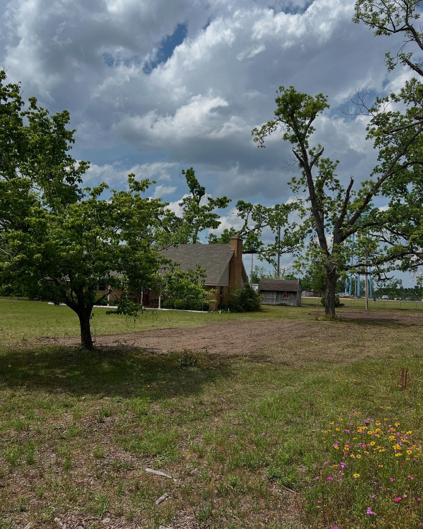 Rural yard with trees, a small house, and cloudy sky over dry grass and wildflowers.