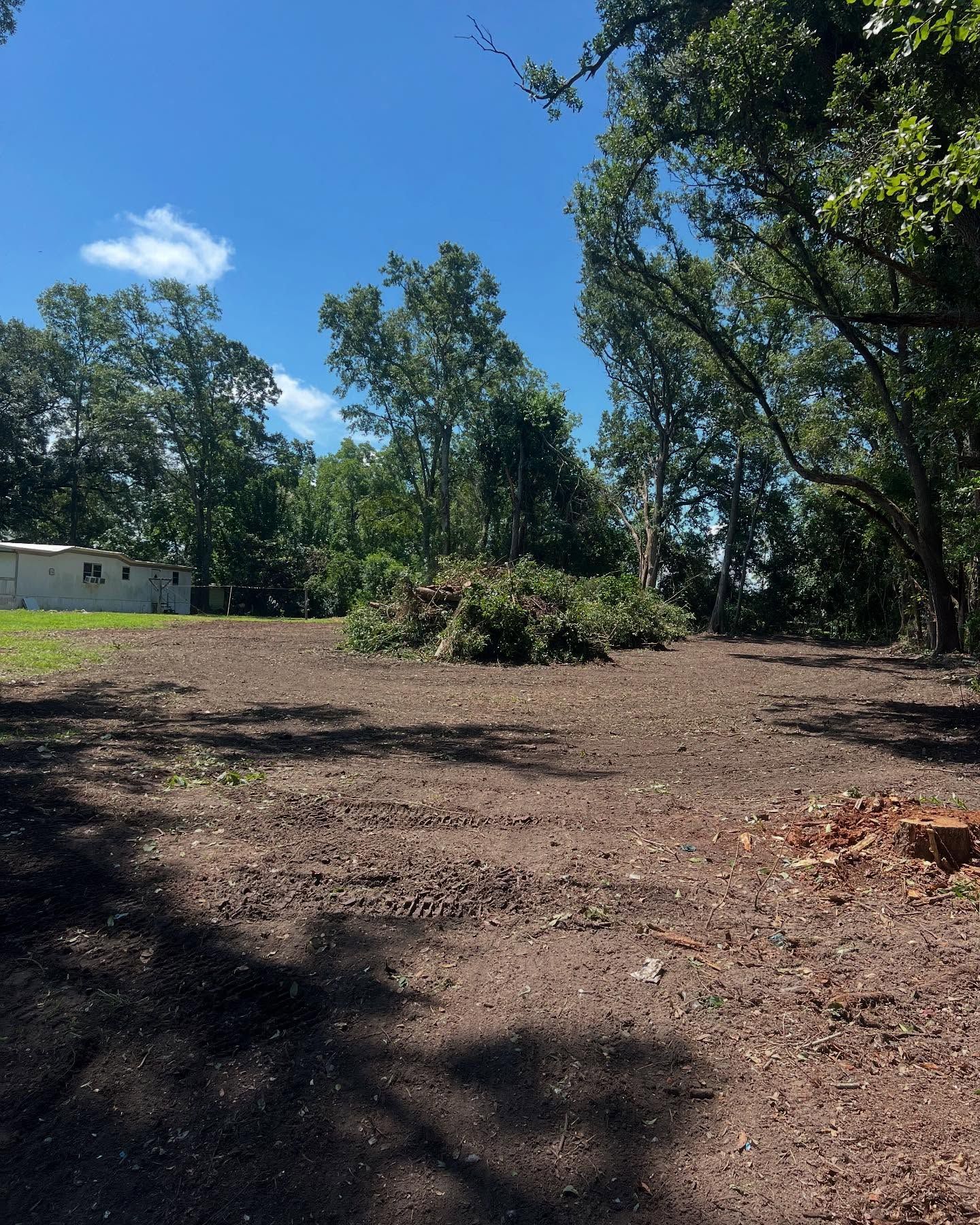 Sunny open lot with trees and a small white building under a blue sky.