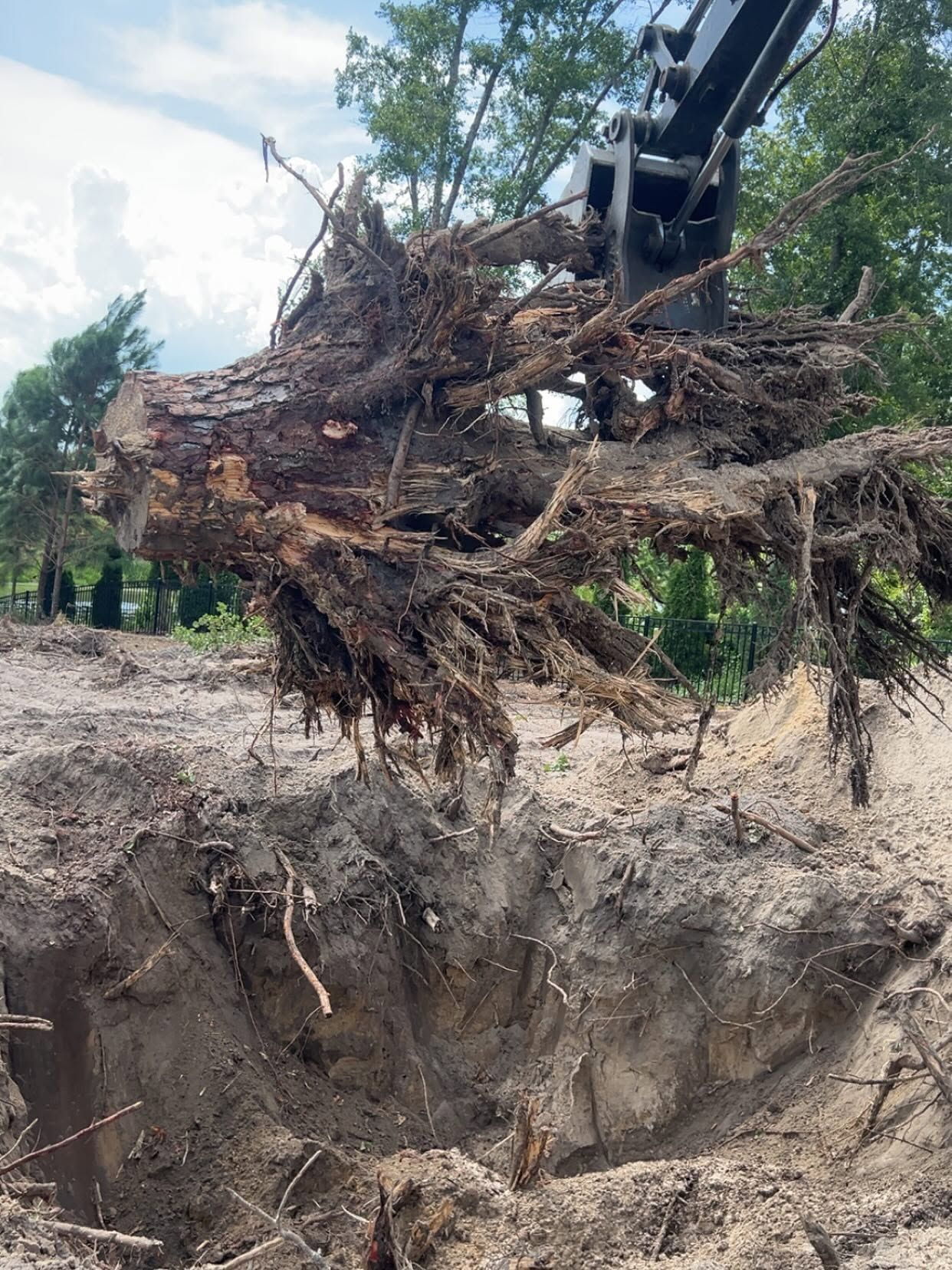 Excavator lifting a large tree root ball from a deep dirt excavation site
