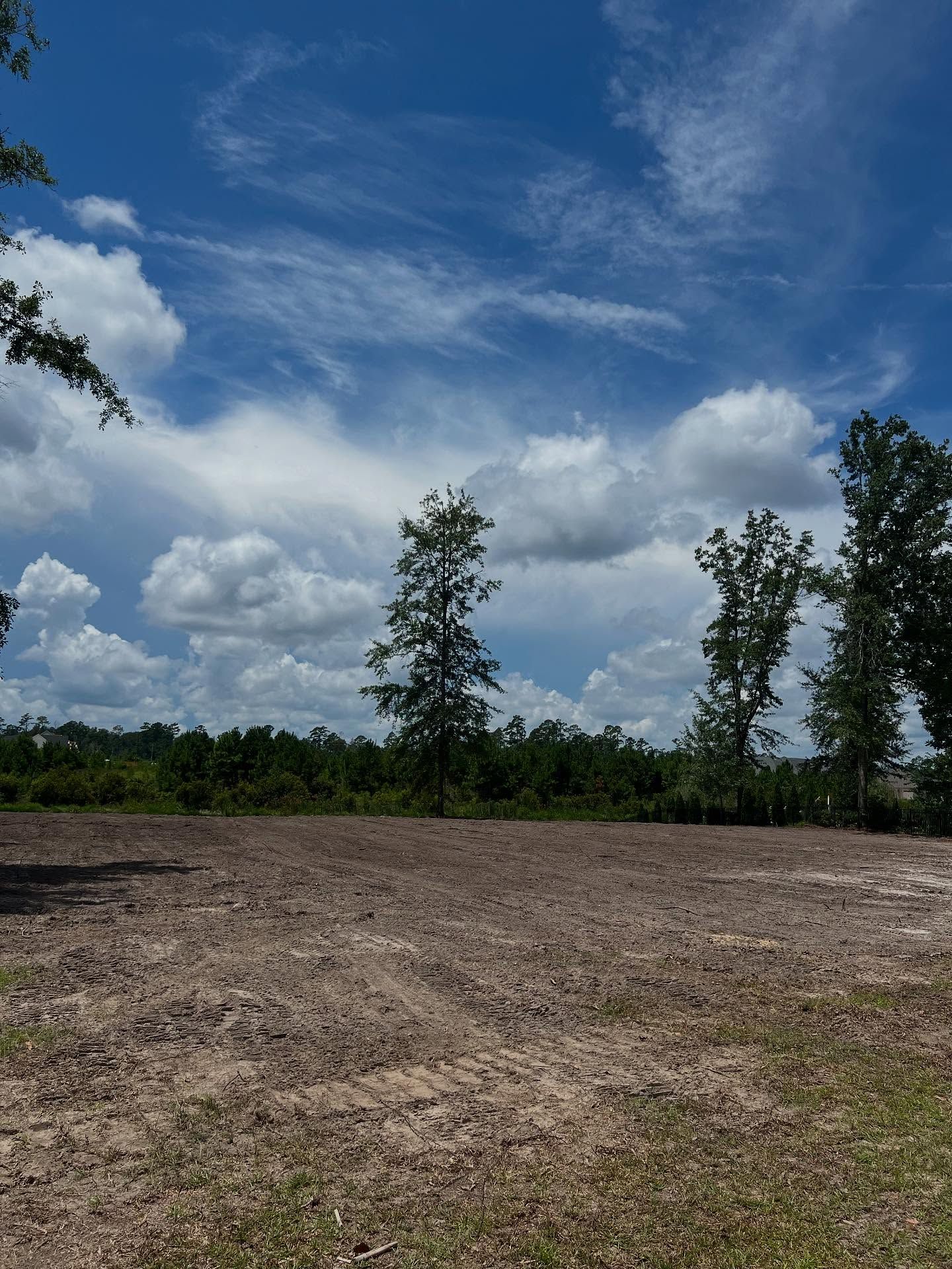 Open dirt field under a bright blue sky with clouds and trees on the horizon