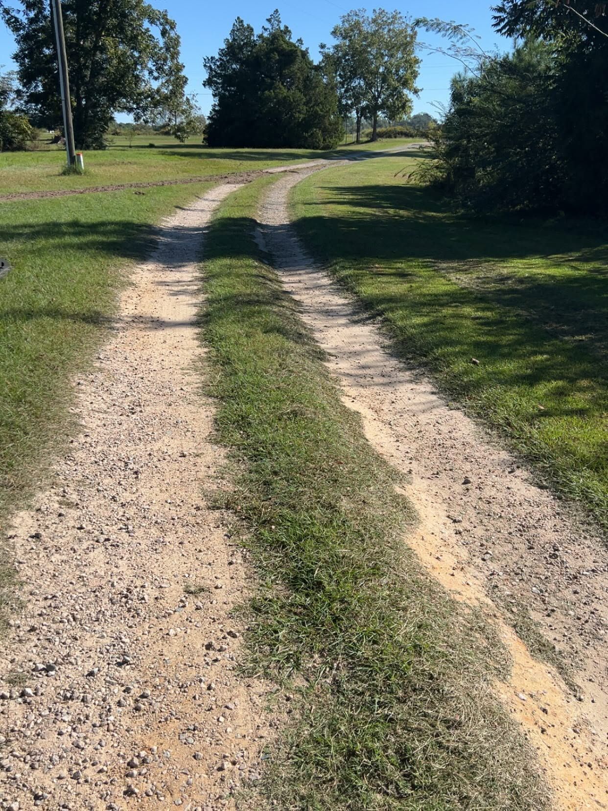 Gravel driveway curving through a sunny grassy field with trees on both sides