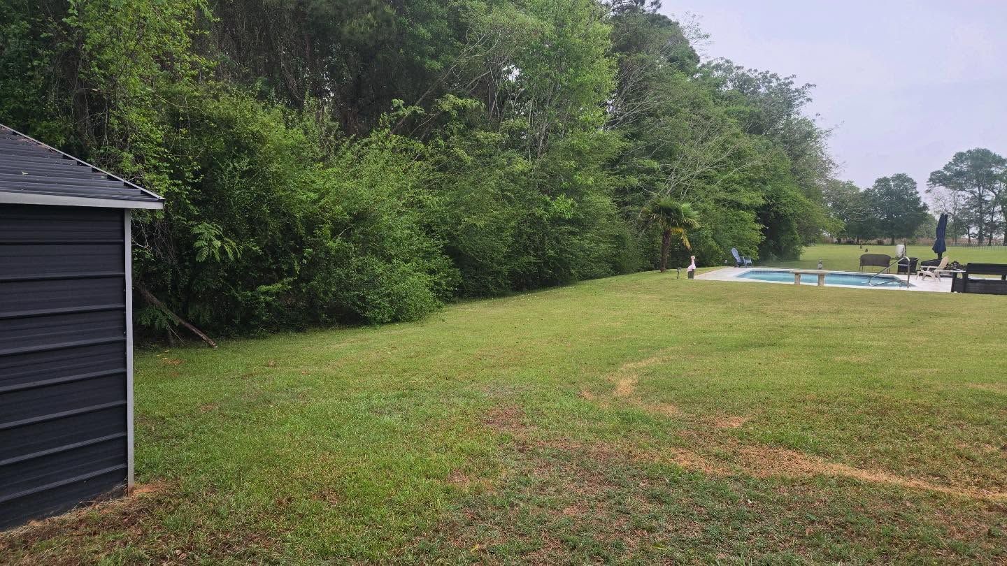 Grassy backyard with trees, a small shed on the left, and a pool area in the distance