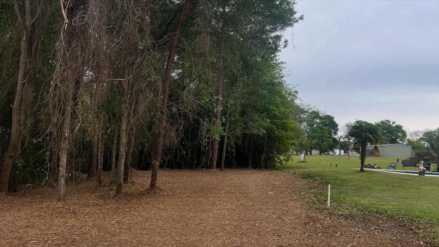 Wooded park edge with leaf-covered ground, trees on the left, and open grassy area to the right.