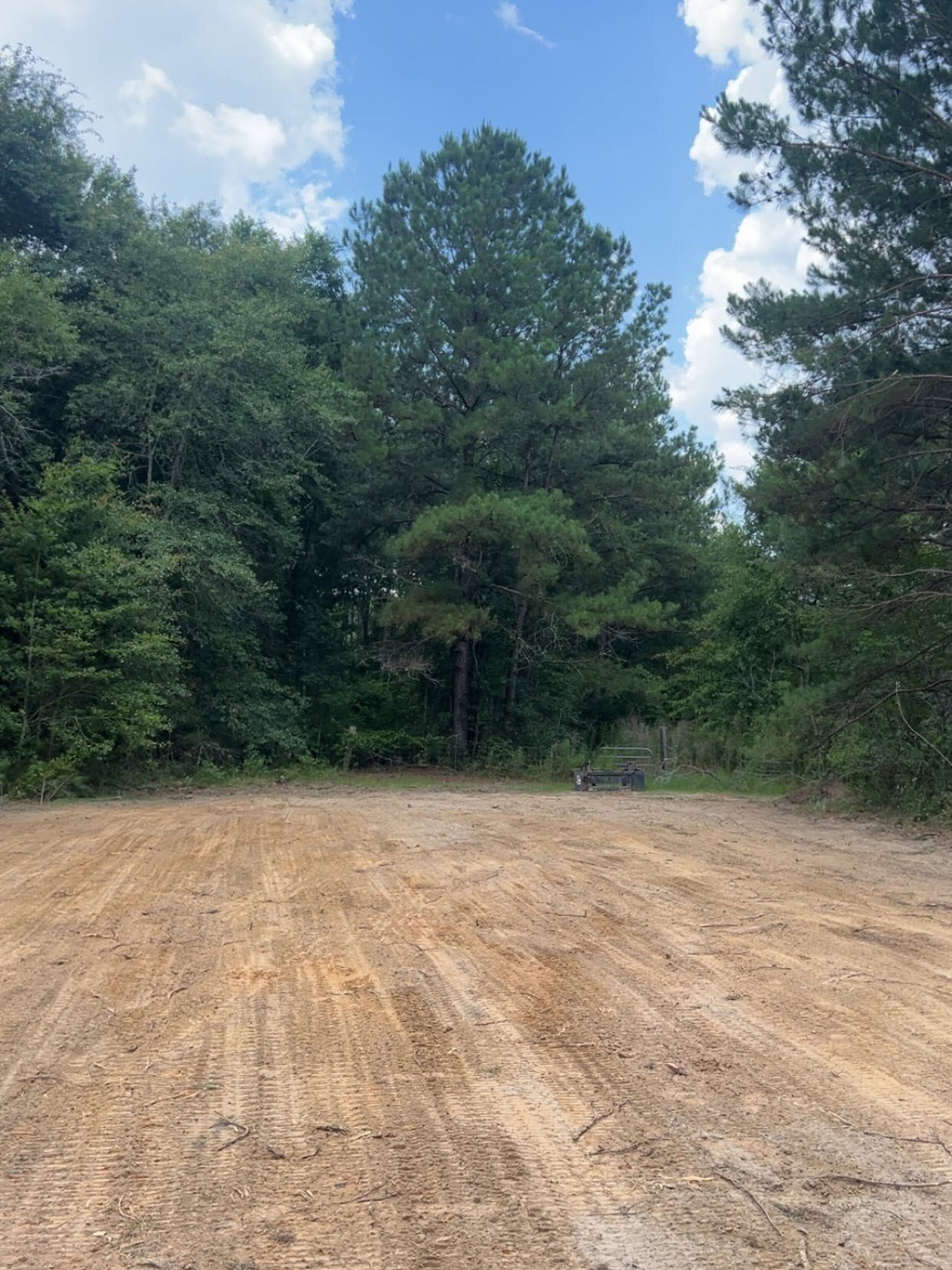 Dirt clearing bordered by tall green trees under a partly cloudy sky