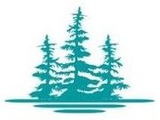 Teal silhouette of three evergreen trees on a white background with a matching reflection below