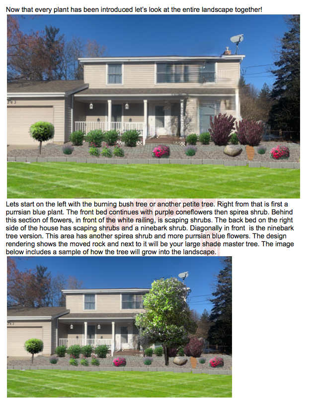 Landscape Design
