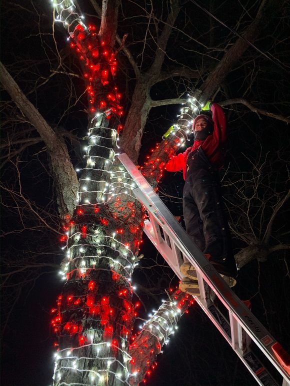 Christmas lights