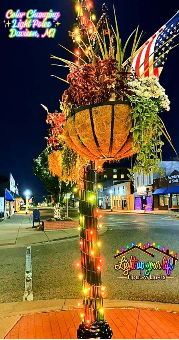PERMANENT MINI LIGHTS COMMERCIAL GRADE. DOWNTOWN MUNICIPALITY OF DAVISON MICHIGAN. S4. HIGH QUALITY. 
