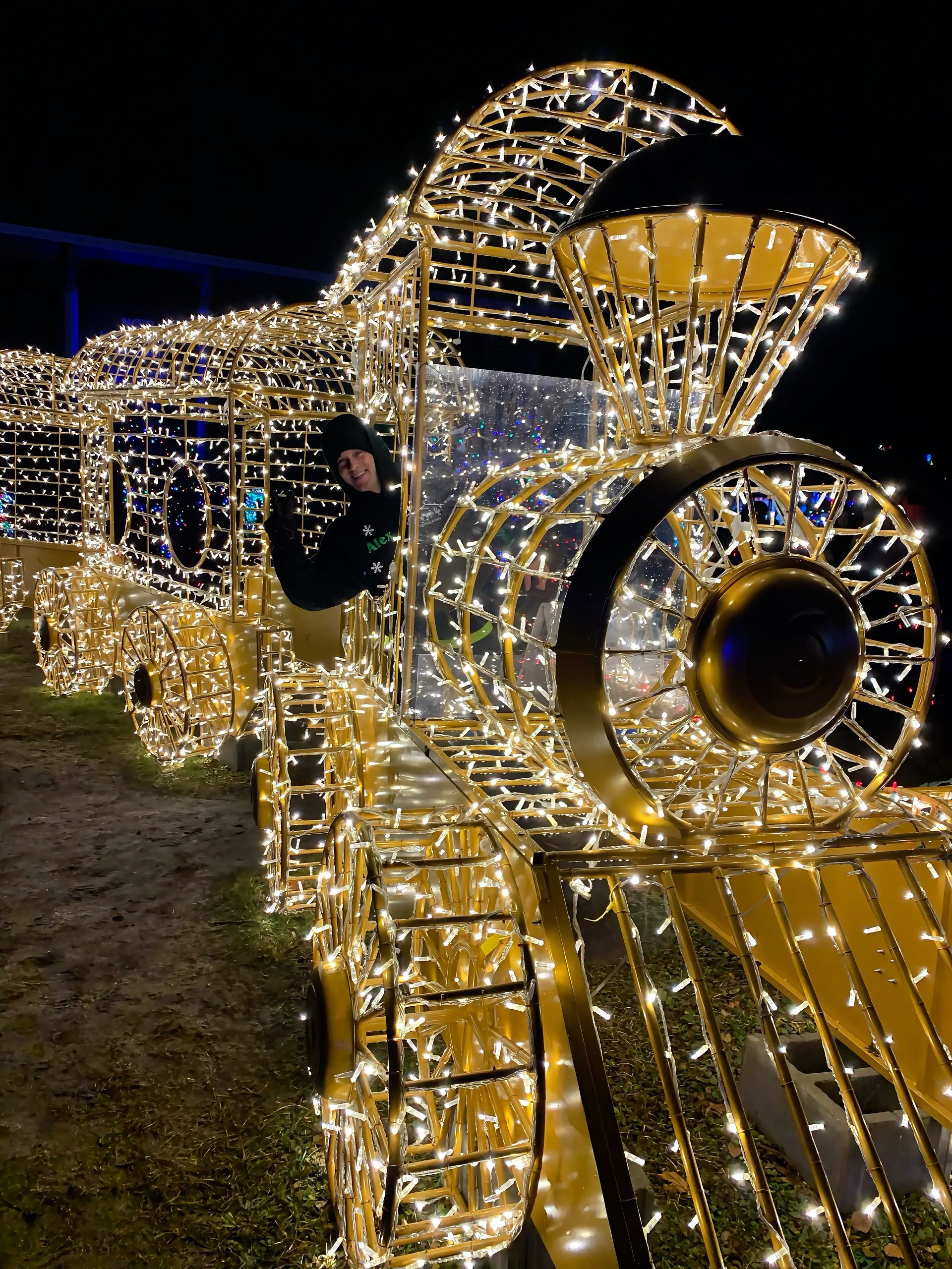 Large Train in Detroit Michigan ZOO. wild lights. warm white mini lights illuminating the train. Large display. Large Motif. 3D lighting. 