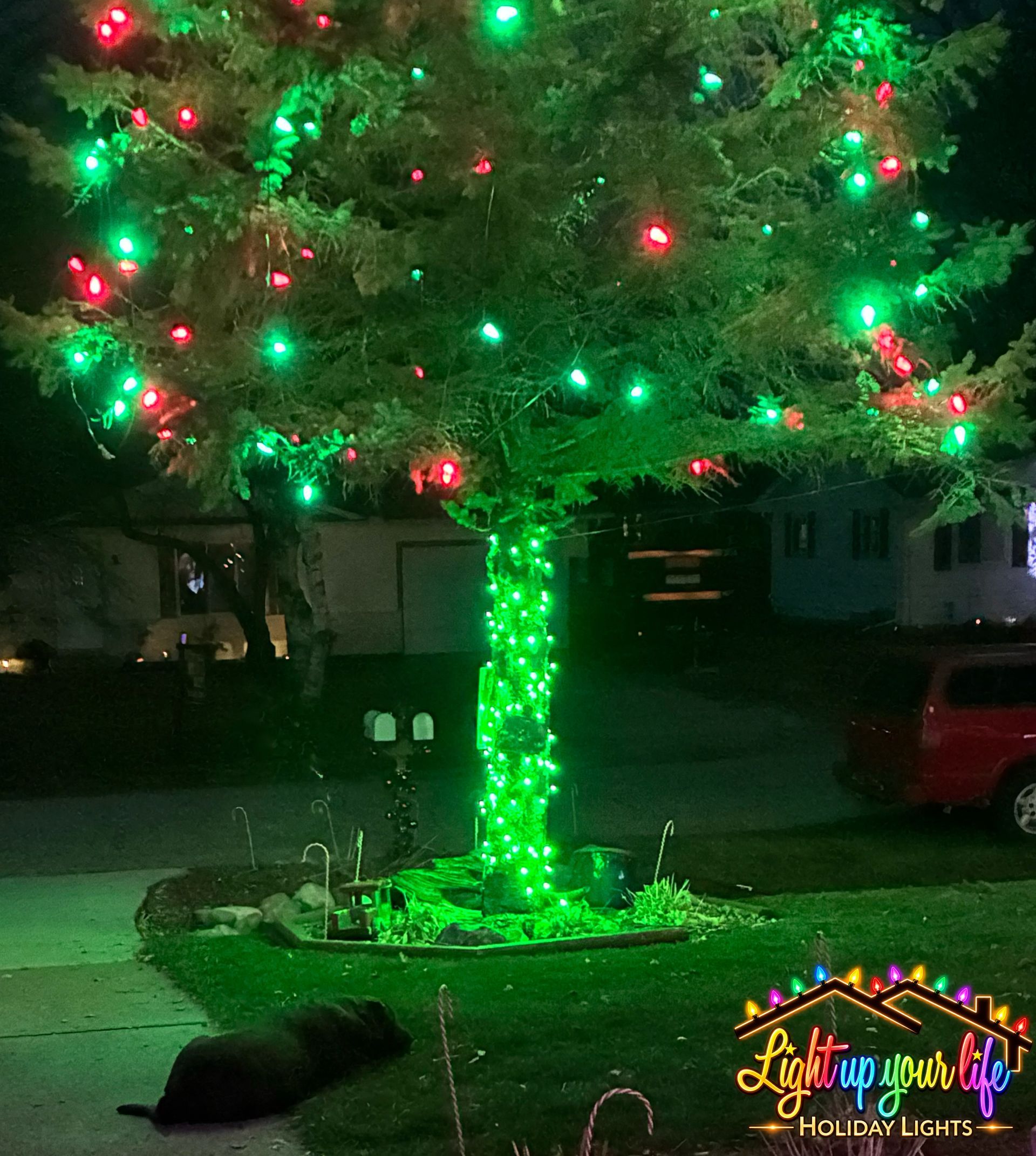 Commercial grade Christmas lighting on a tree in Lapeer michigan. a dog laying under tree enjoying the lights. 