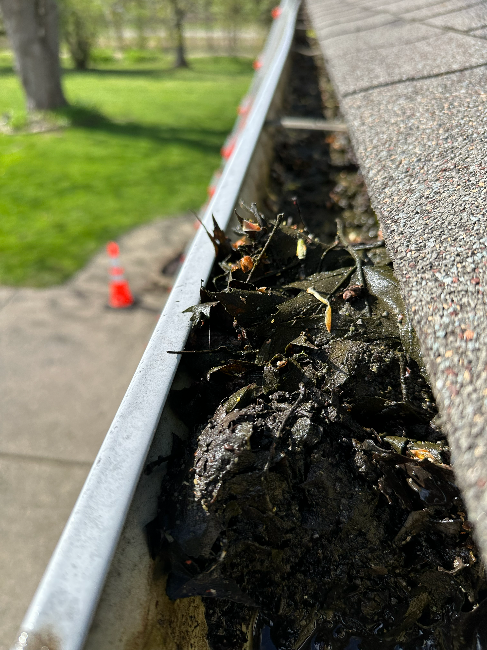 clogged gutters
