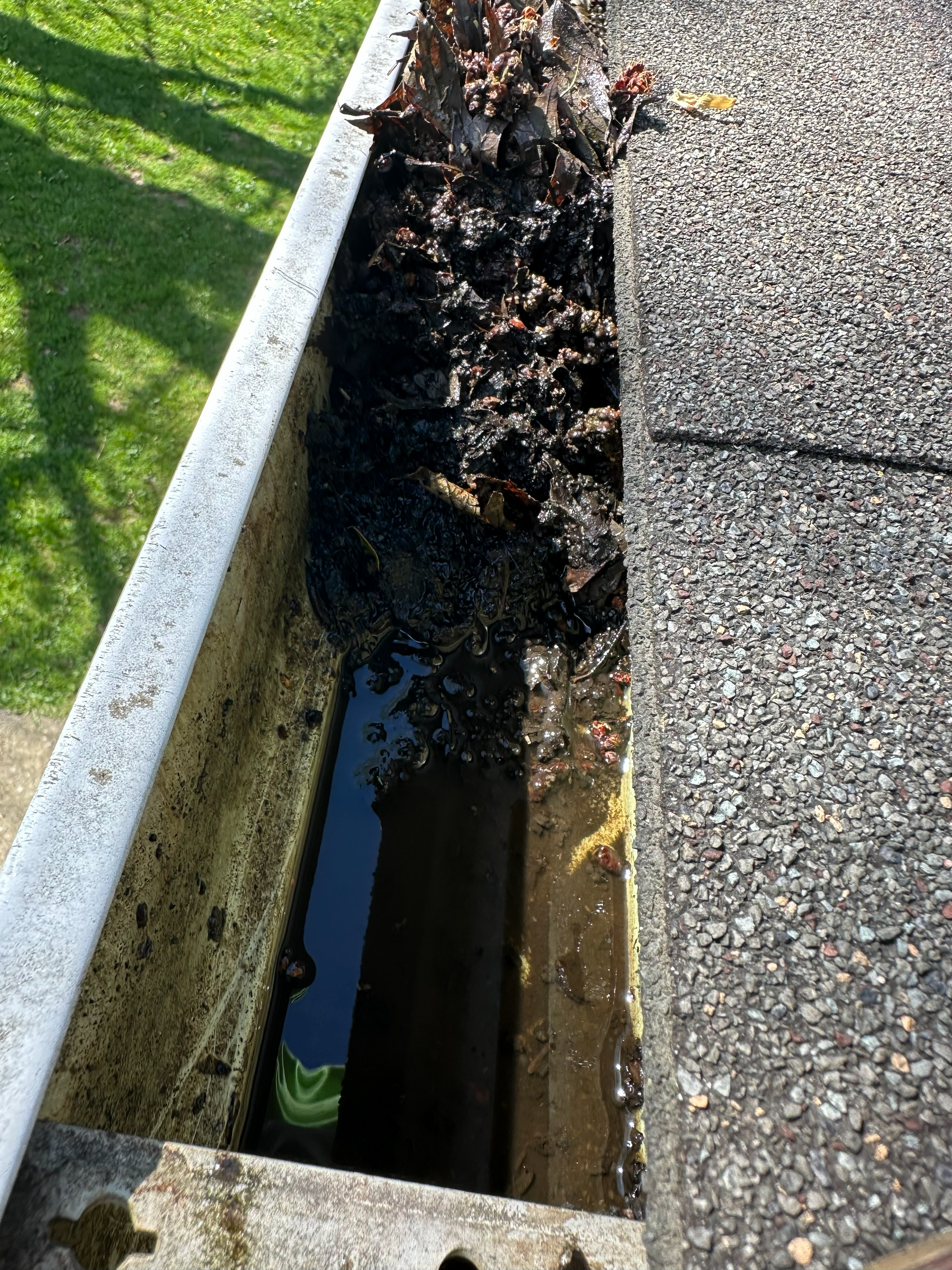 clogged gutters