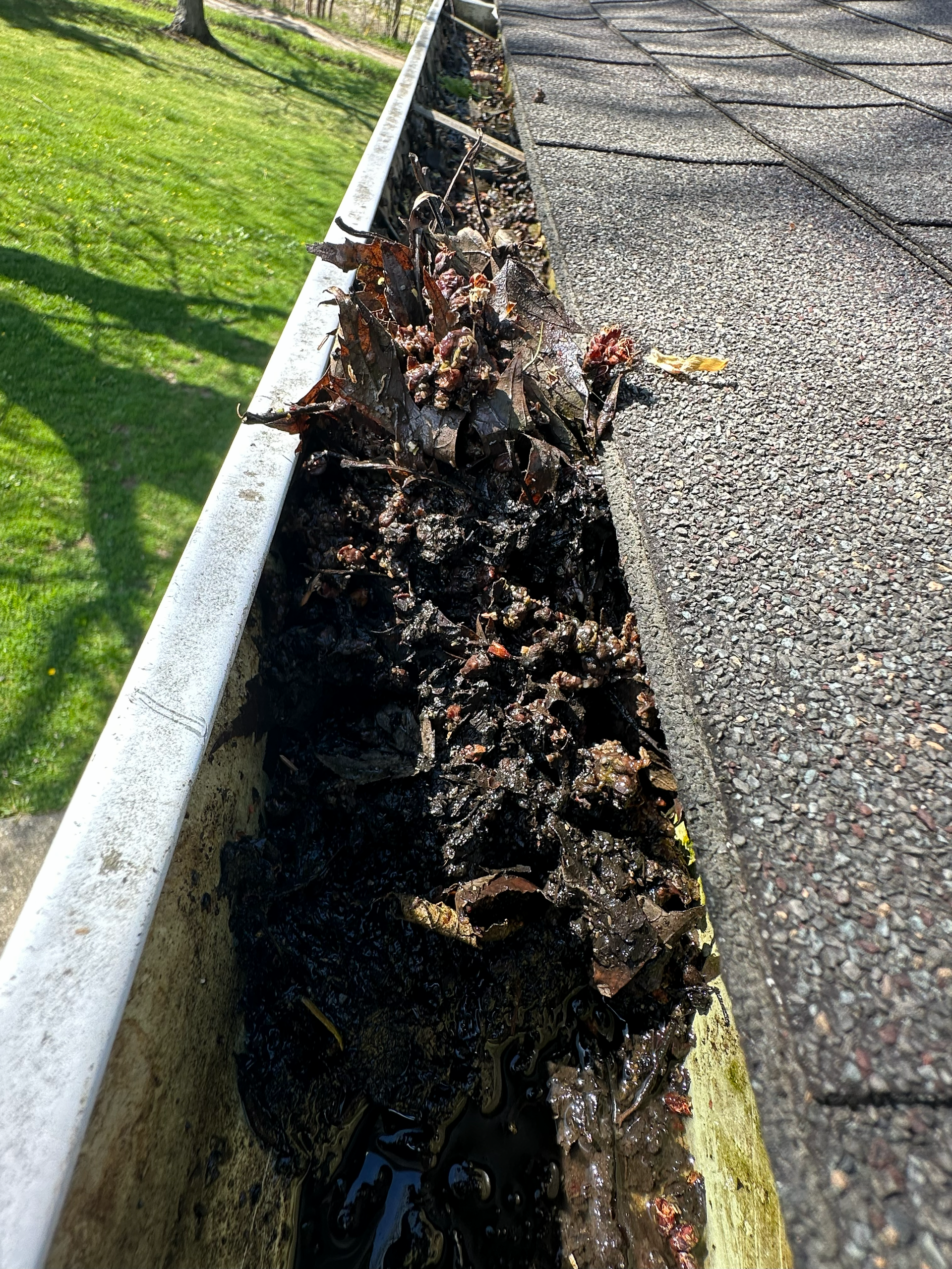 leaf removal