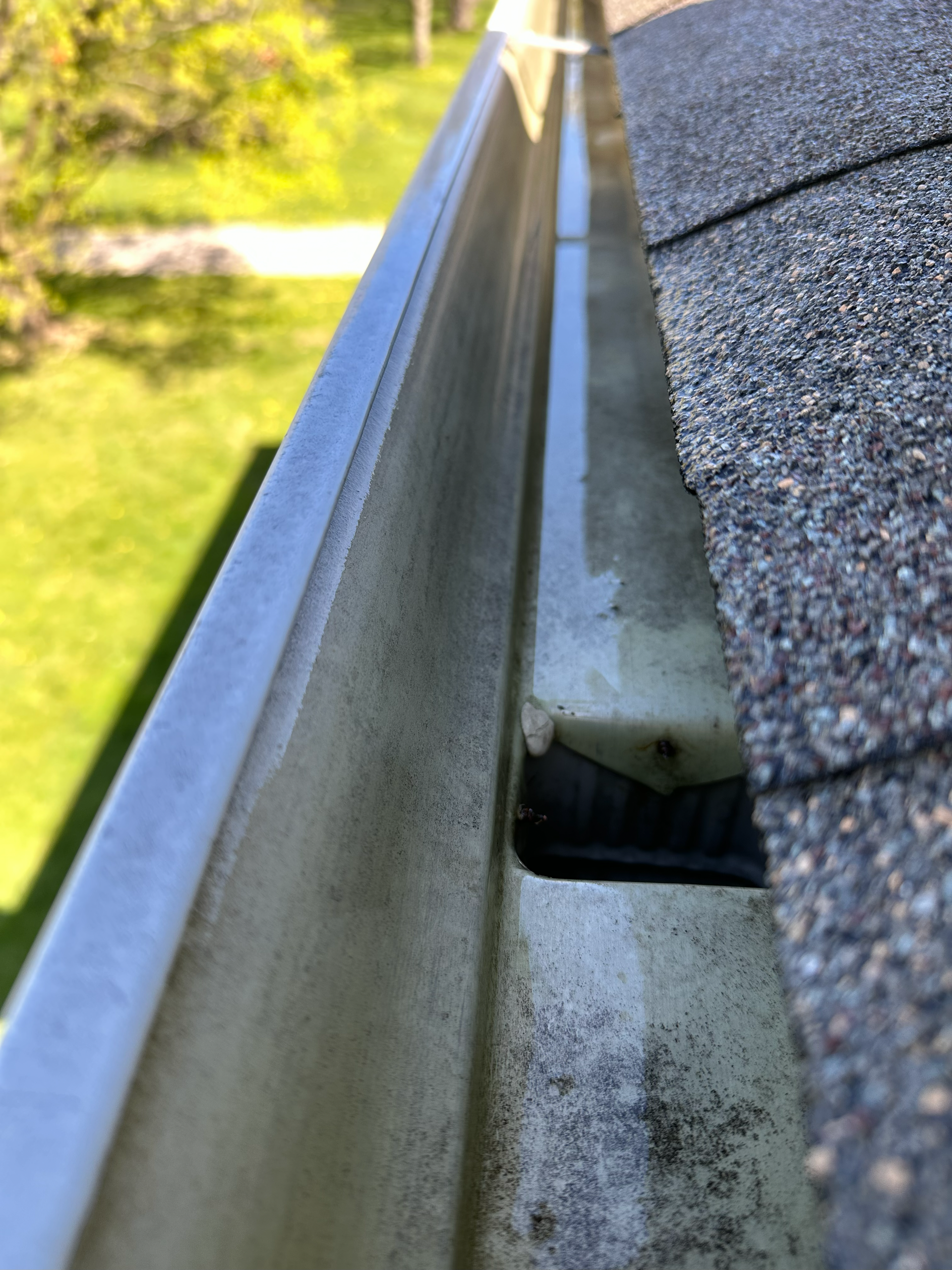 clogged gutters