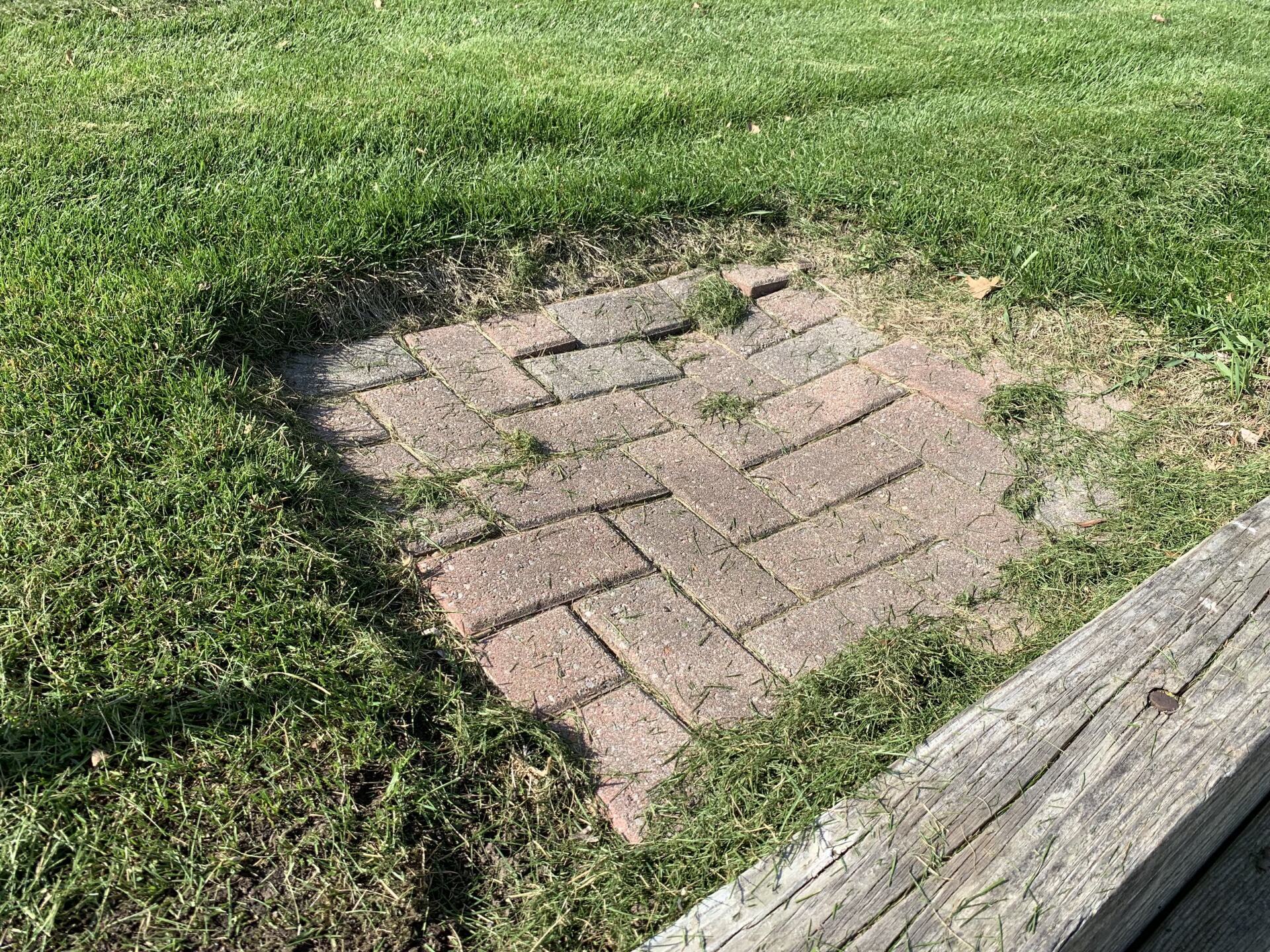Brick Paver
