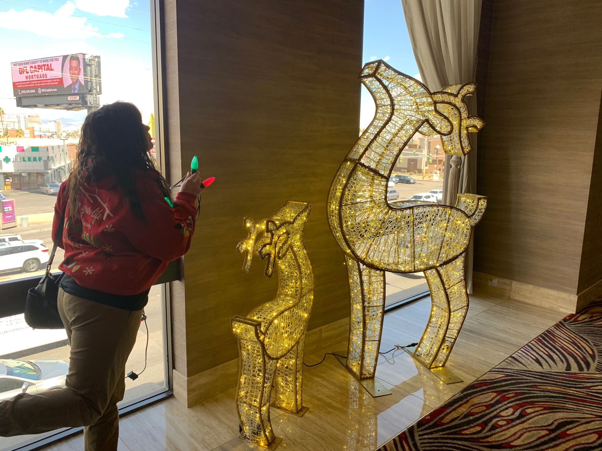 Holiday Lighting