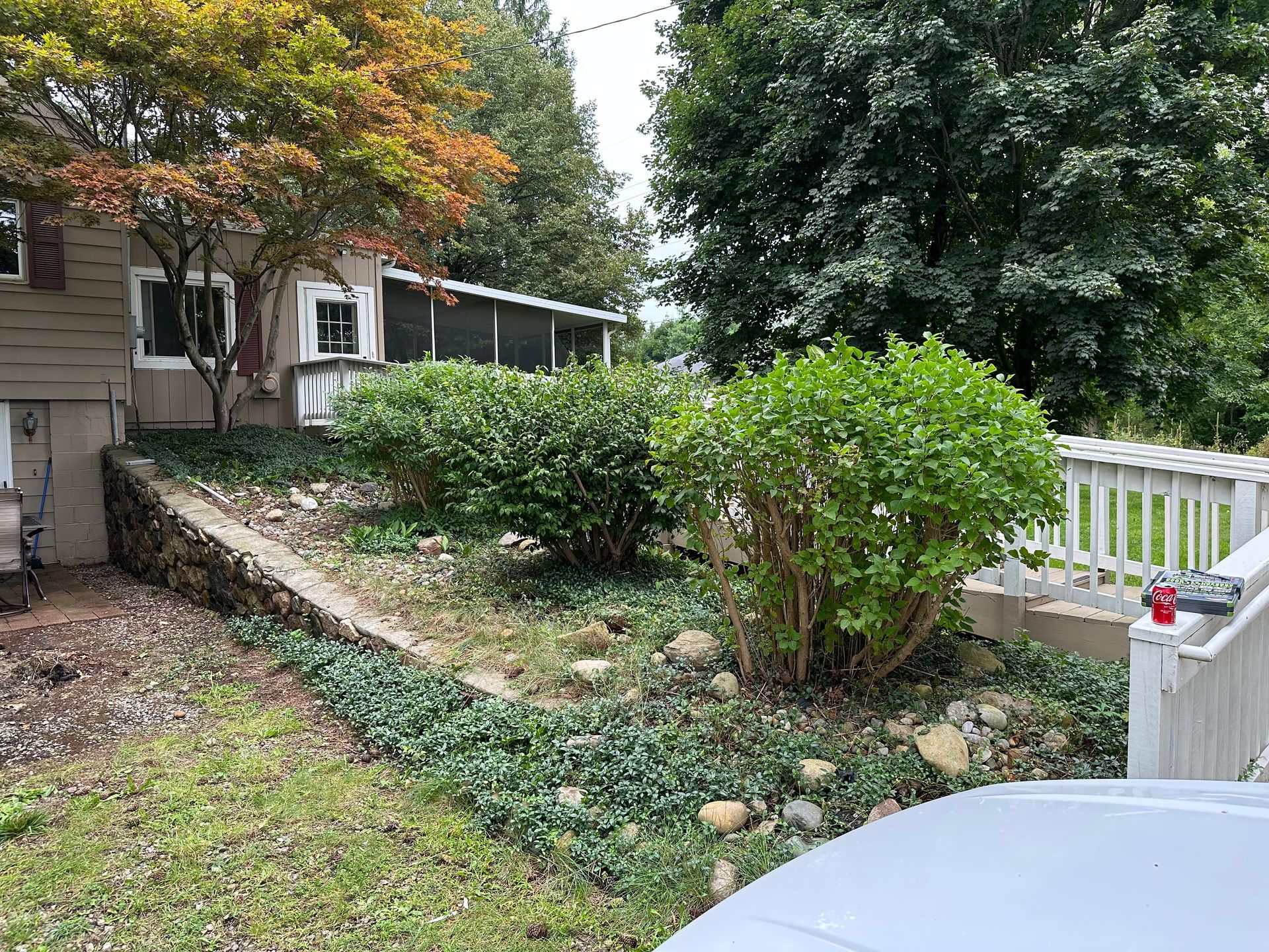 A house with a white fence and a lot of bushes in front of it.