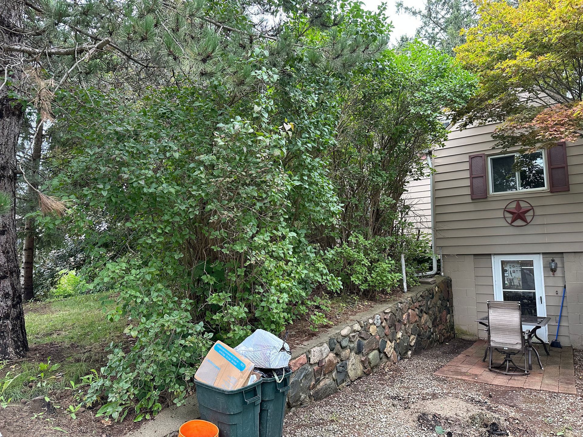 A trash can is sitting in front of a house surrounded by trees.