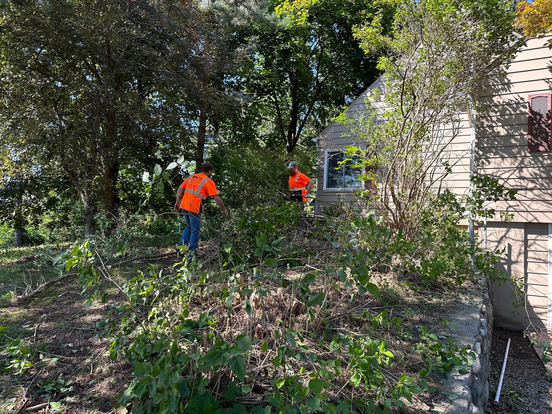 Tree Trimming