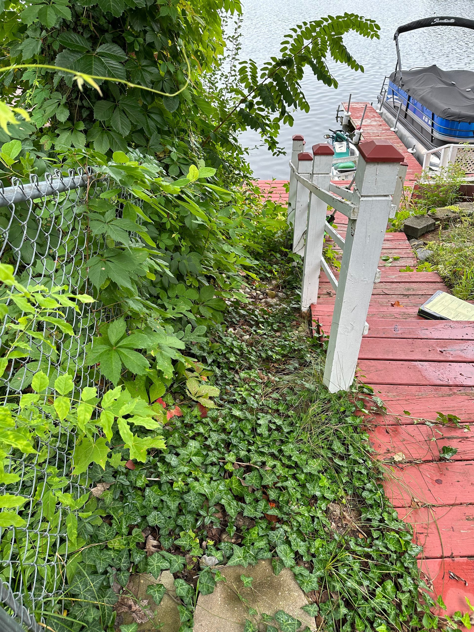 Landscaping