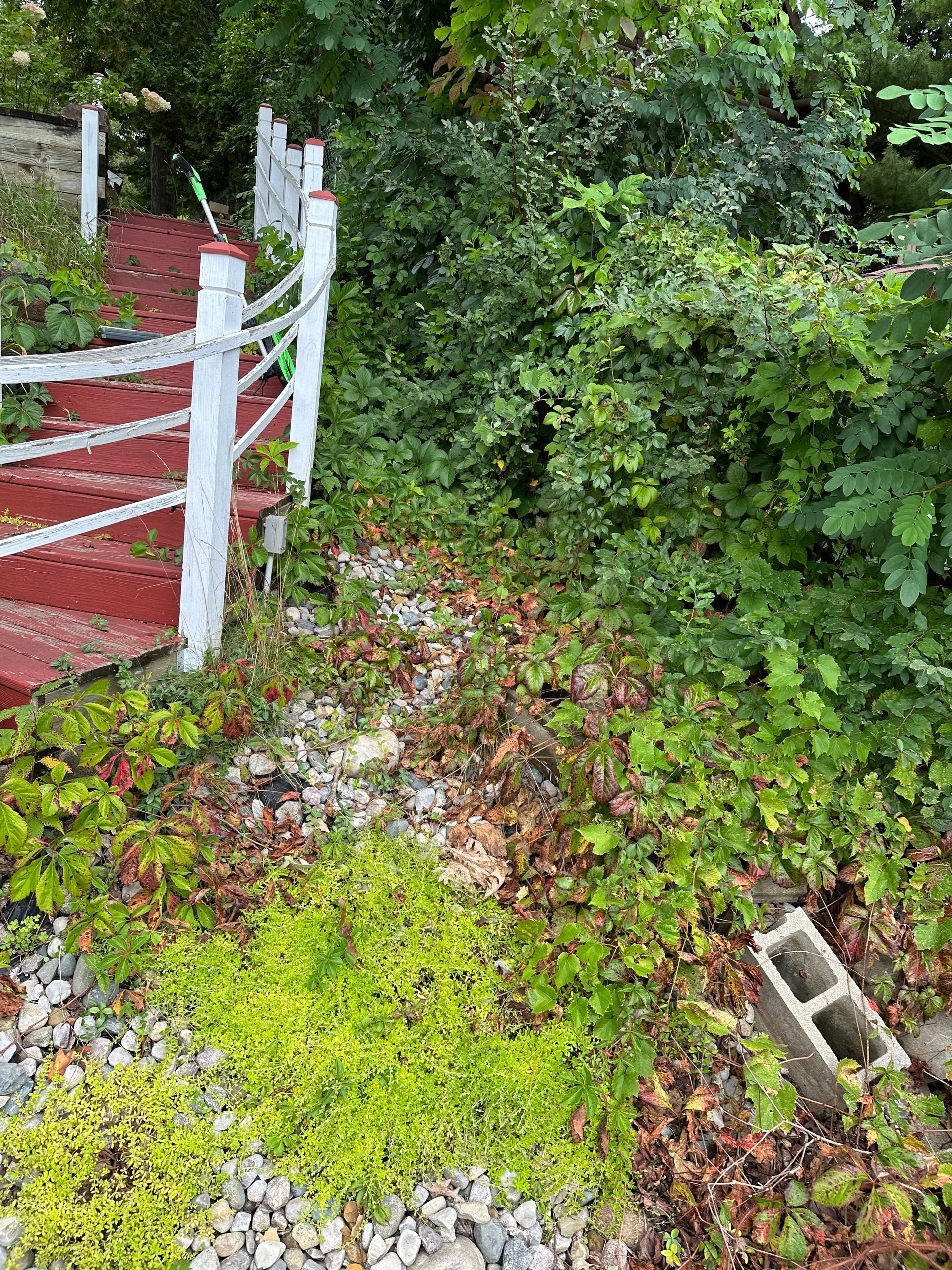 A white fence is surrounded by trees and bushes in a yard.
