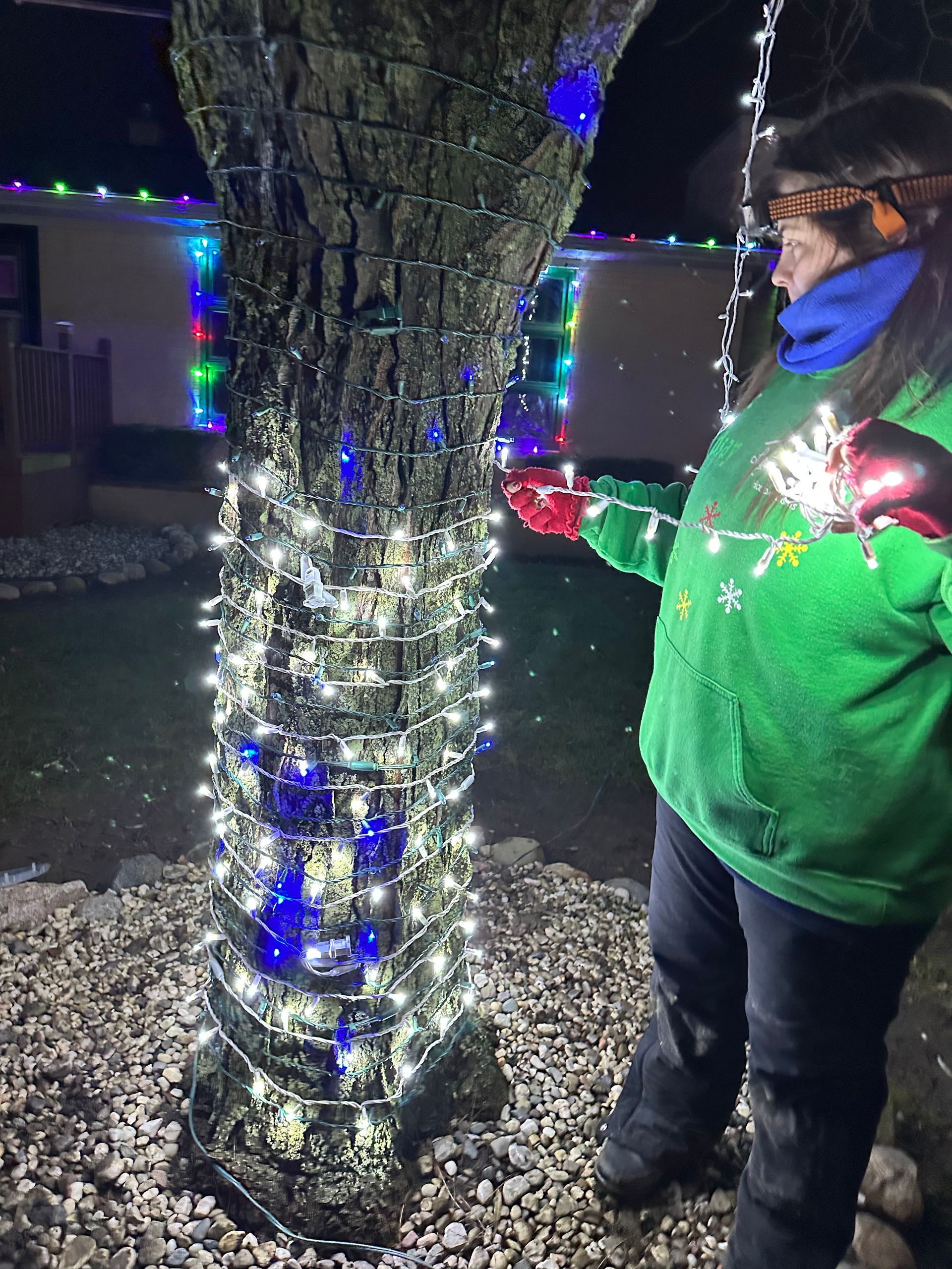 Holiday Lighting