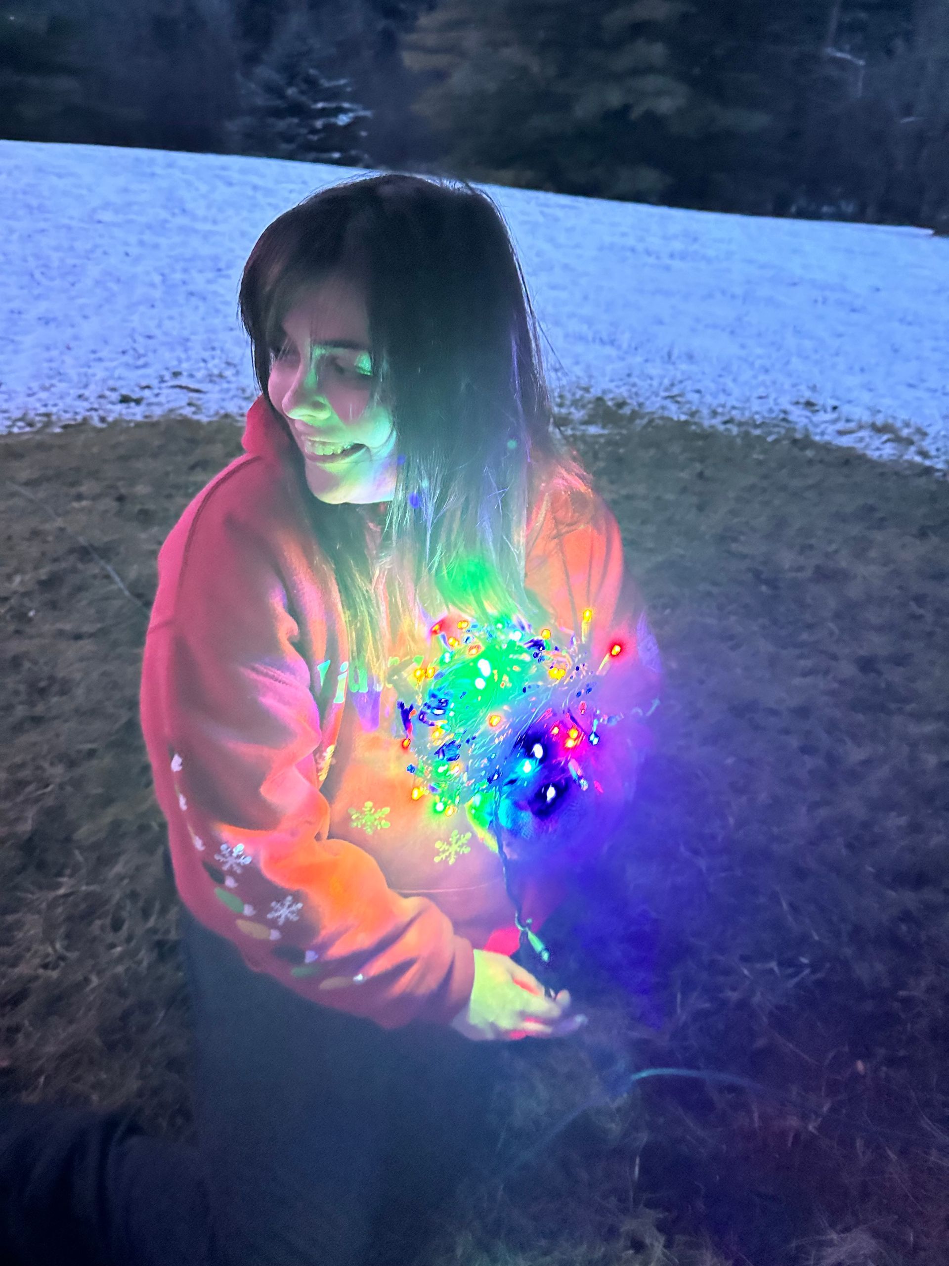 Holiday Lighting