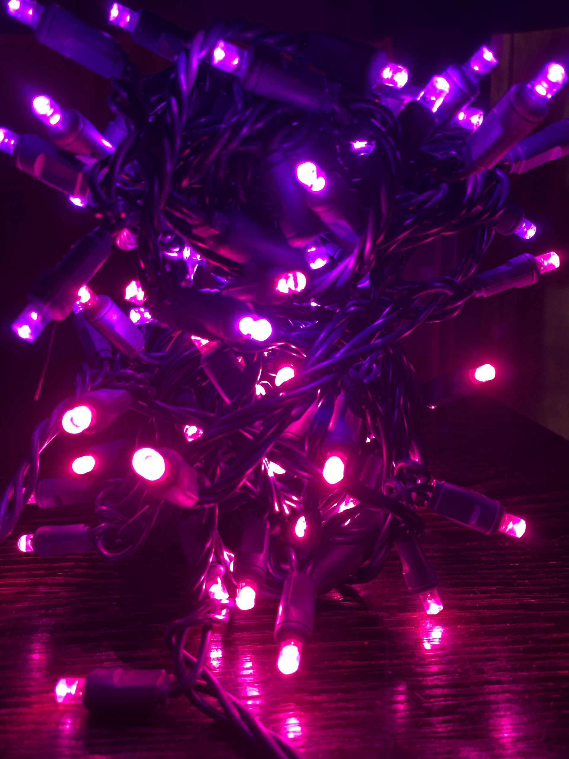 Holiday Lighting