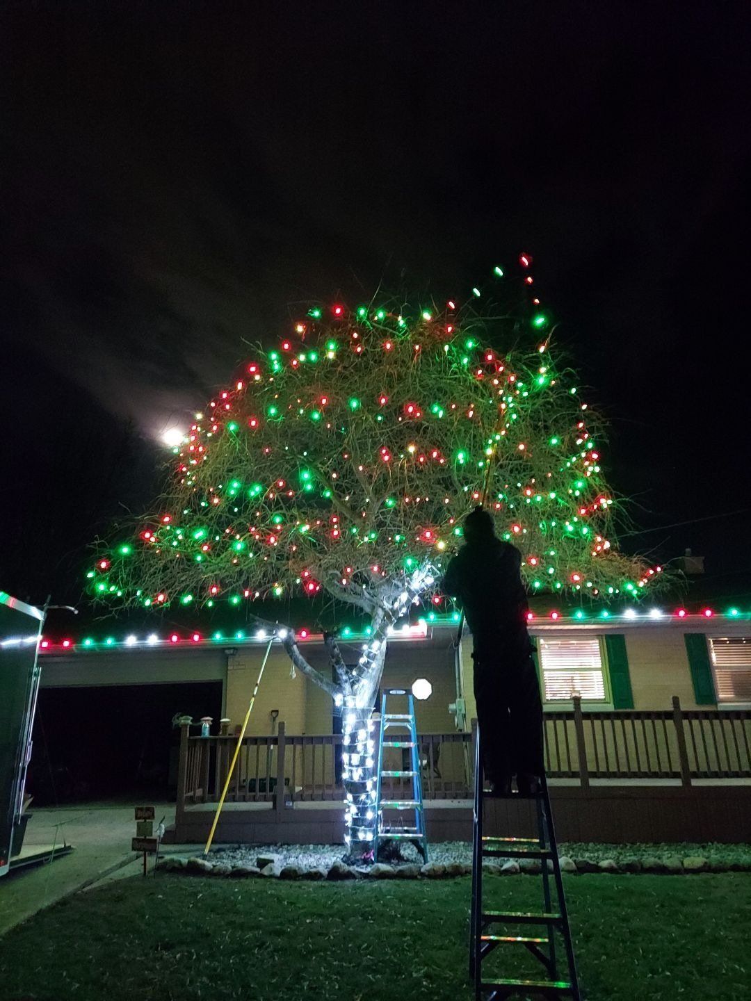 Holiday Lighting