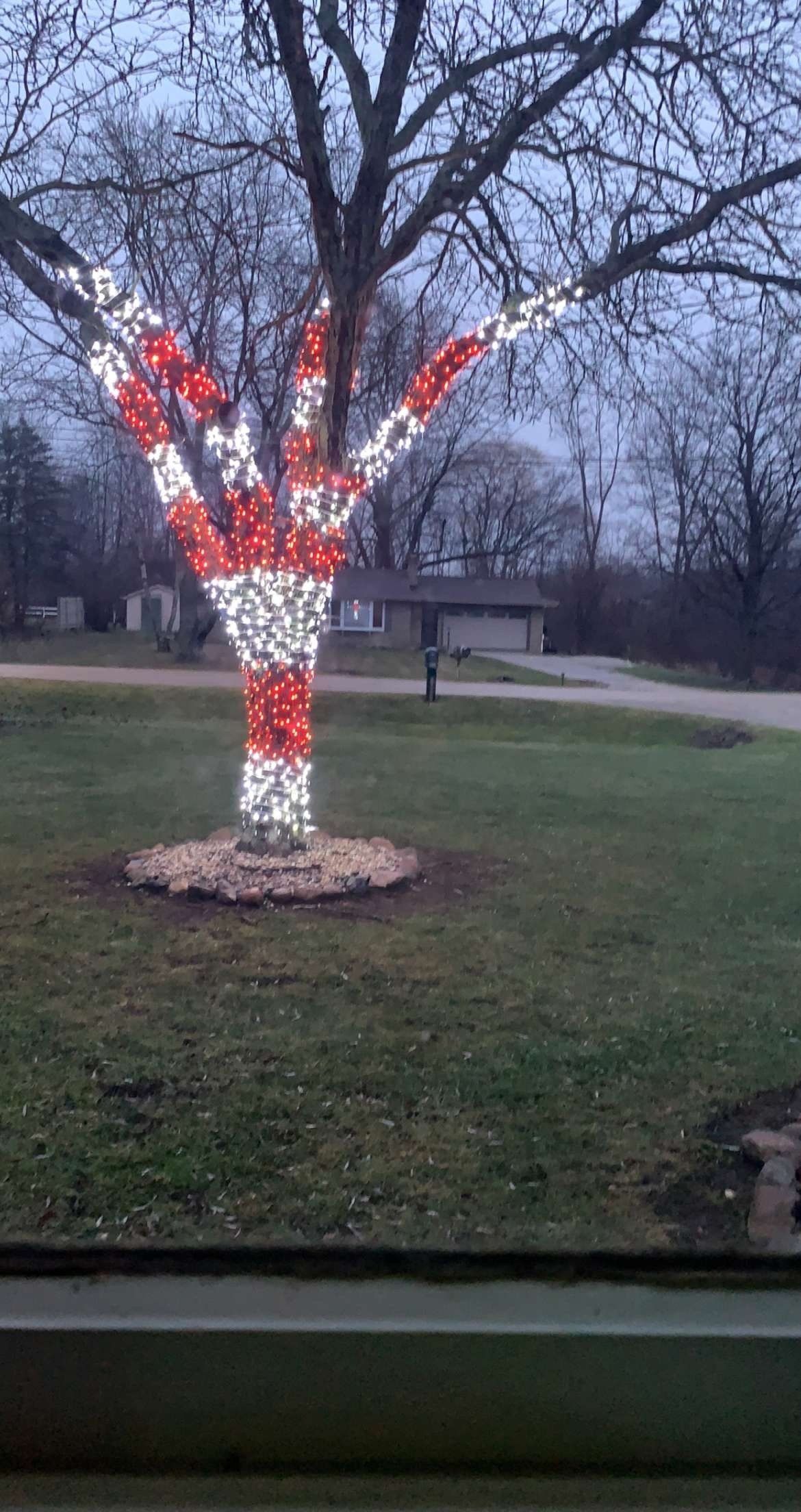 A tree decorated with christmas lights in the shape of a hand. wedding lighting