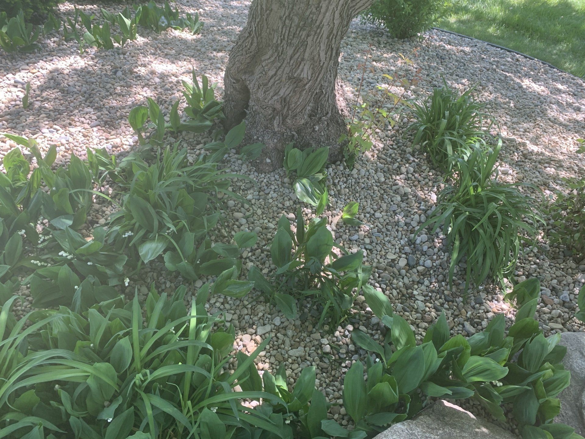 Landscaping