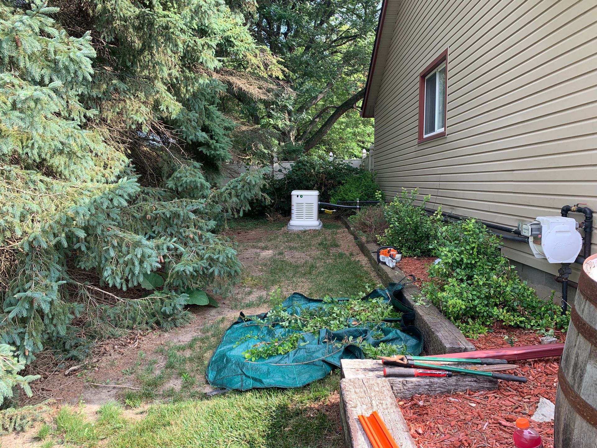 Tree Trimming