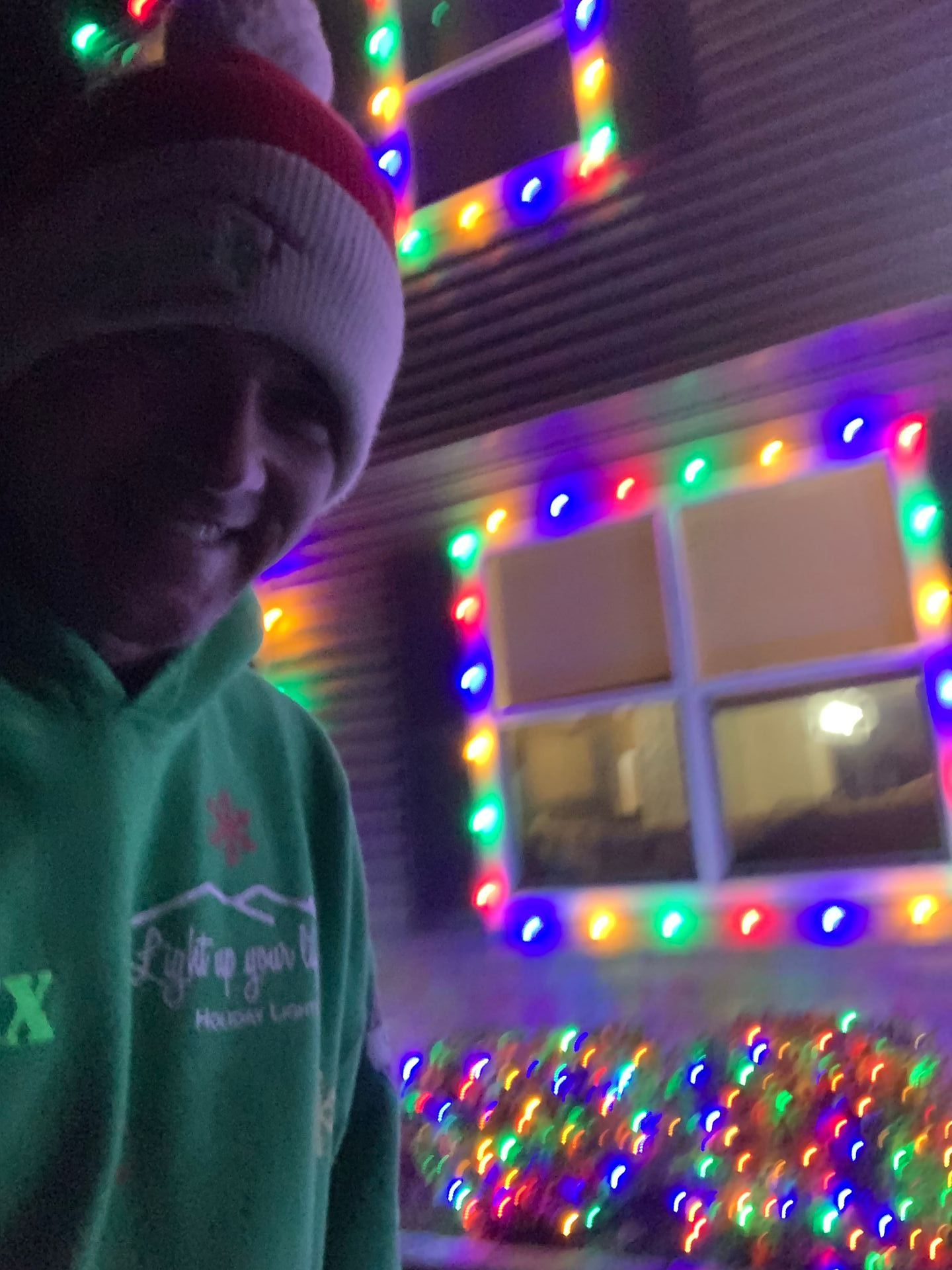 Christmas Light Installation