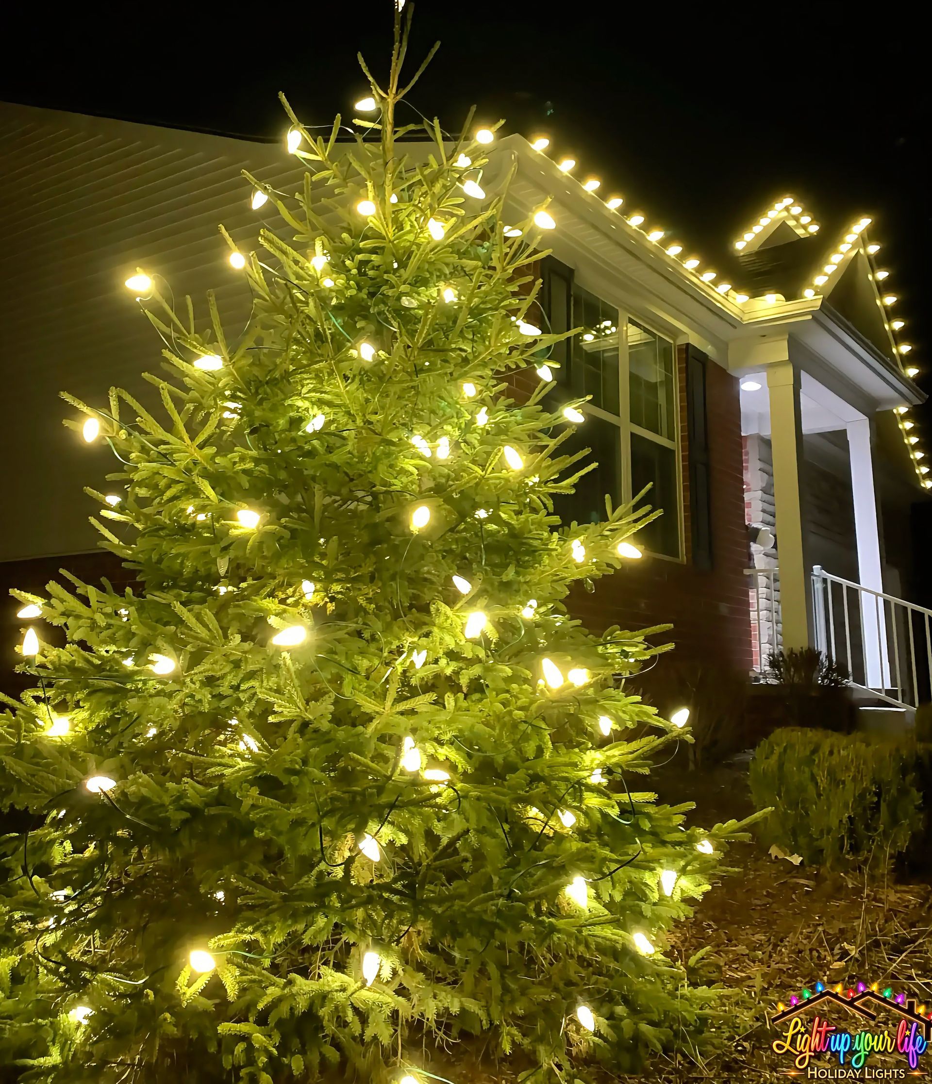 Pine tree wrapped with Christmas lights. Custom cut lights on the roofline of a residential home in Grand Blanc Michigan. Best installers in Michigan.