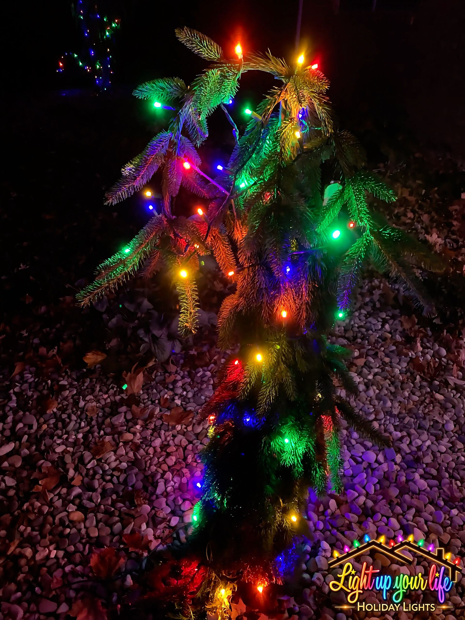 Mini lights that look magical on a little pine tree 
